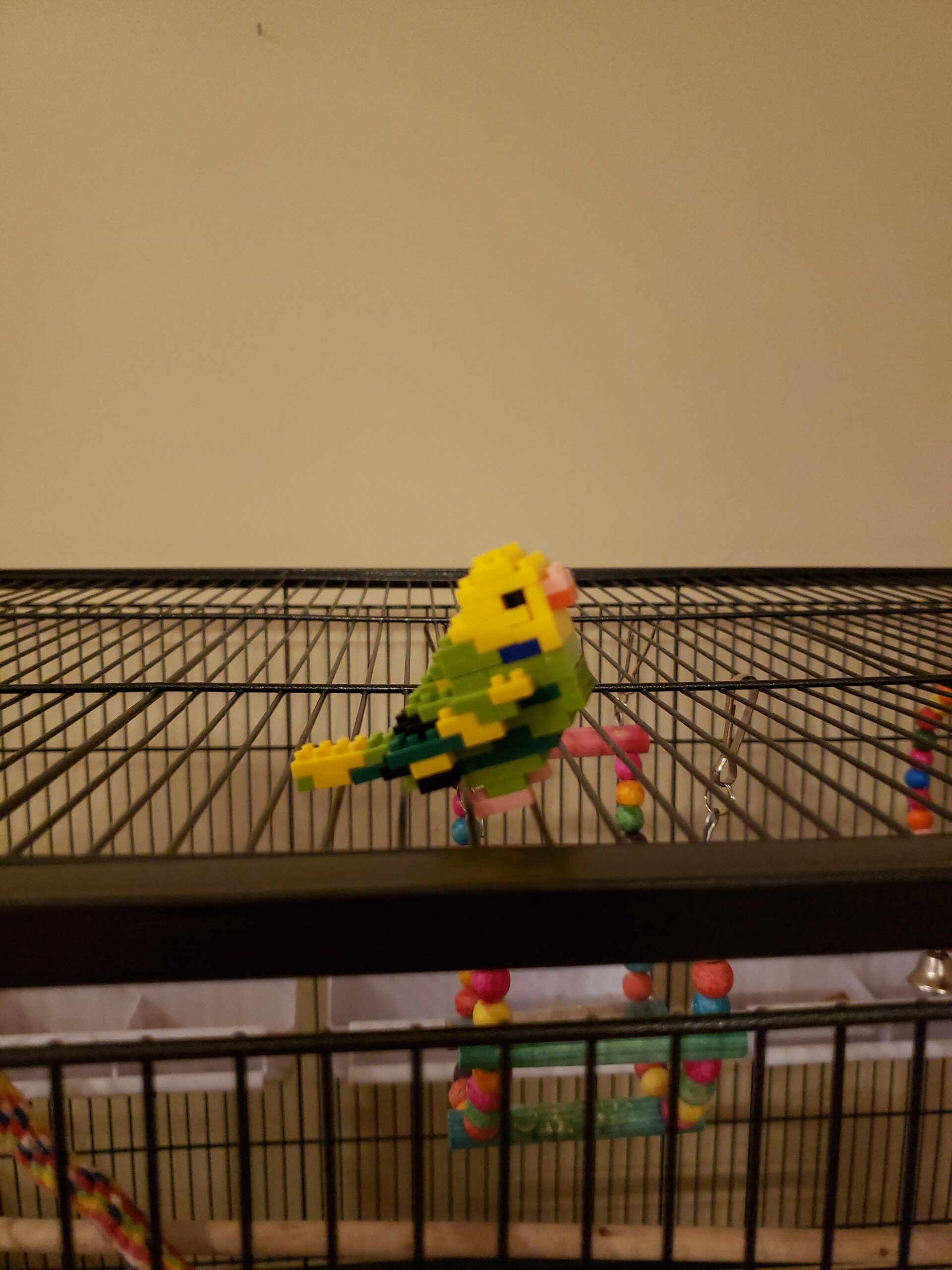 nanoblock - Birds - Budgie Green Opaline, Collection Series Building Kit customer photo 2
