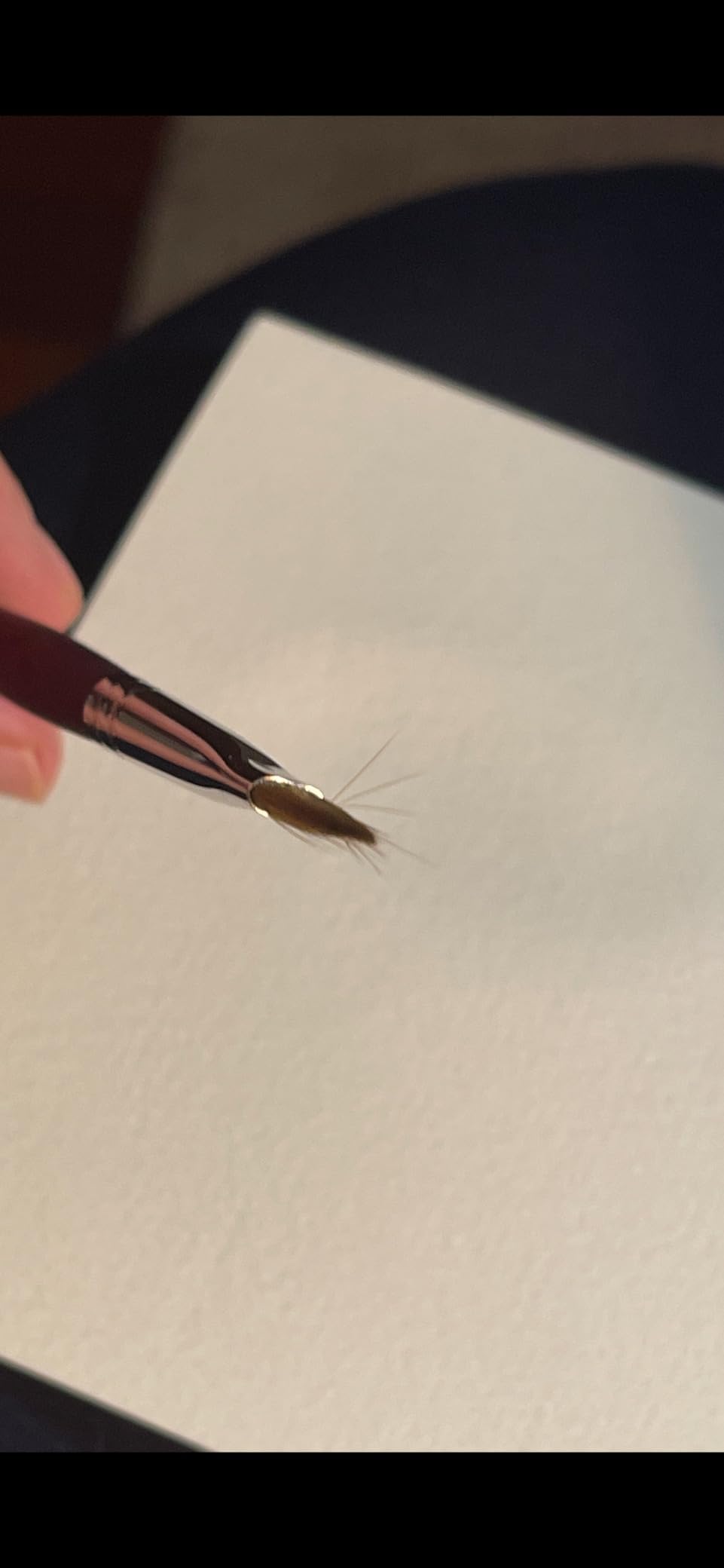 Princeton Velvetouch, Series 3950, Paint Brush for Acrylic, Oil and Watercolor, Filbert, 6 customer photo 2