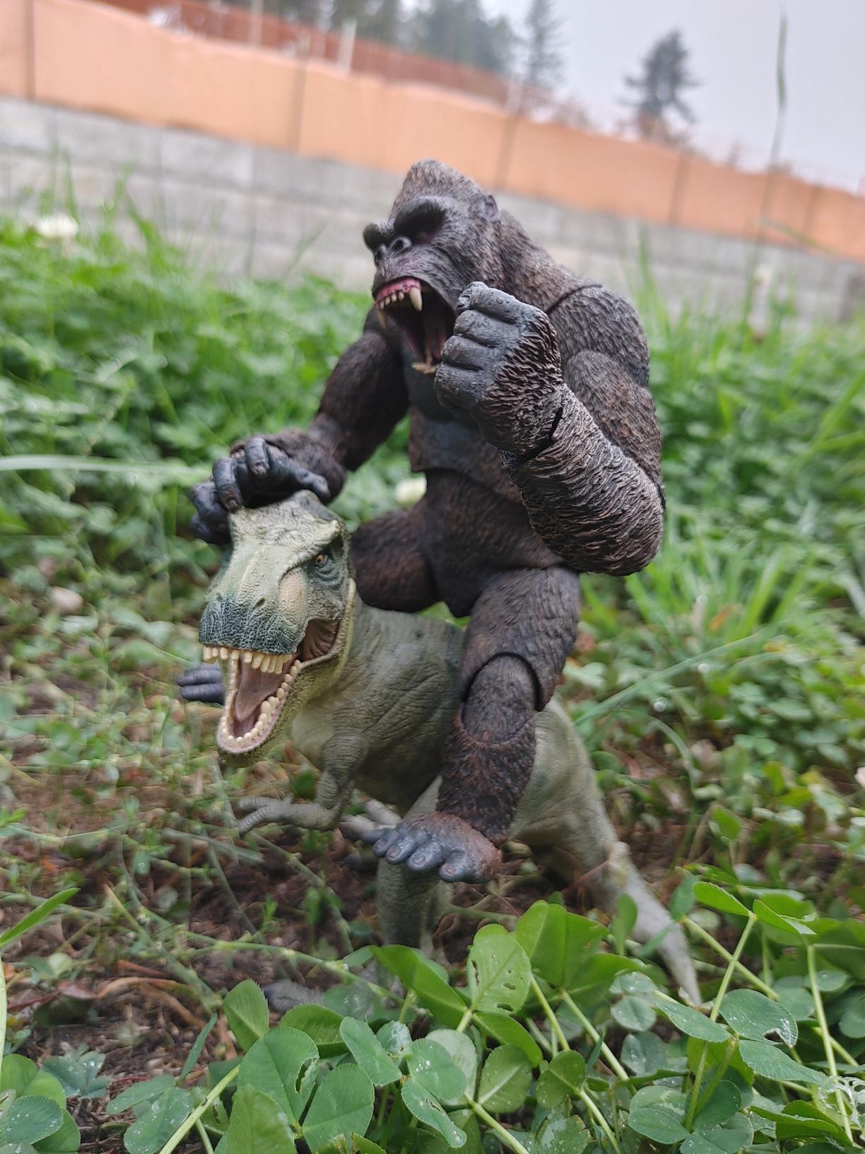 King Kong - 7