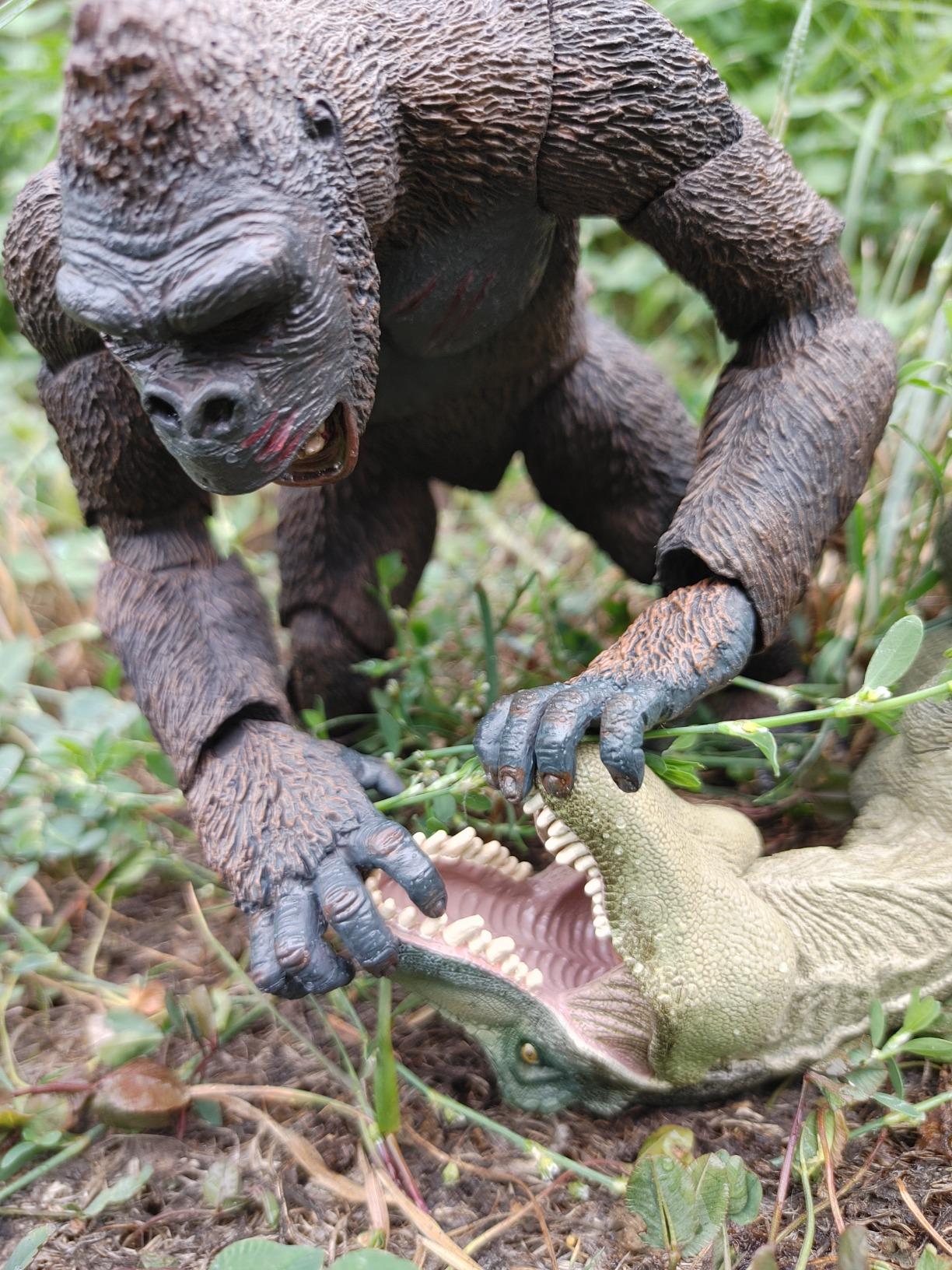 King Kong - 7