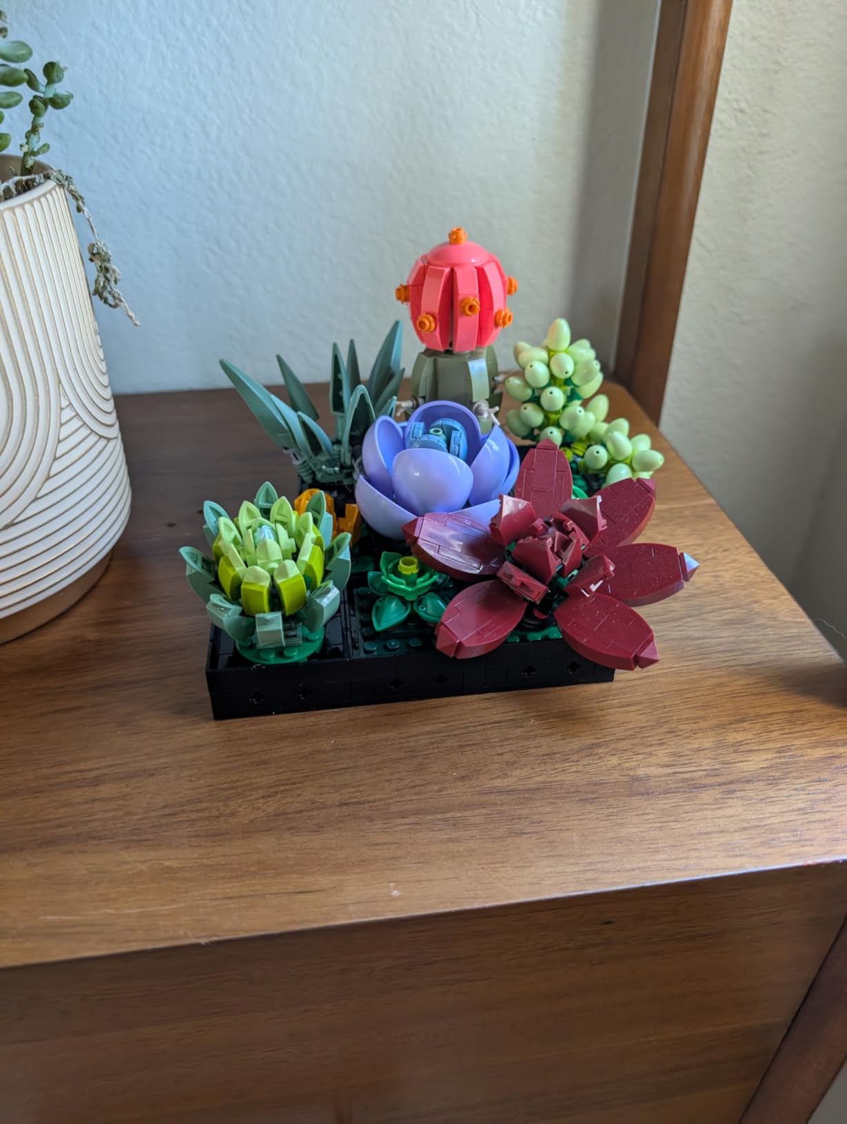 LEGO Botanicals Succulents - Artificial Indoor Plant Building Set for Home, Kitchen, Desk Decor Adults Ages 18+ - Gift for Birthdays - 10309 customer photo 1