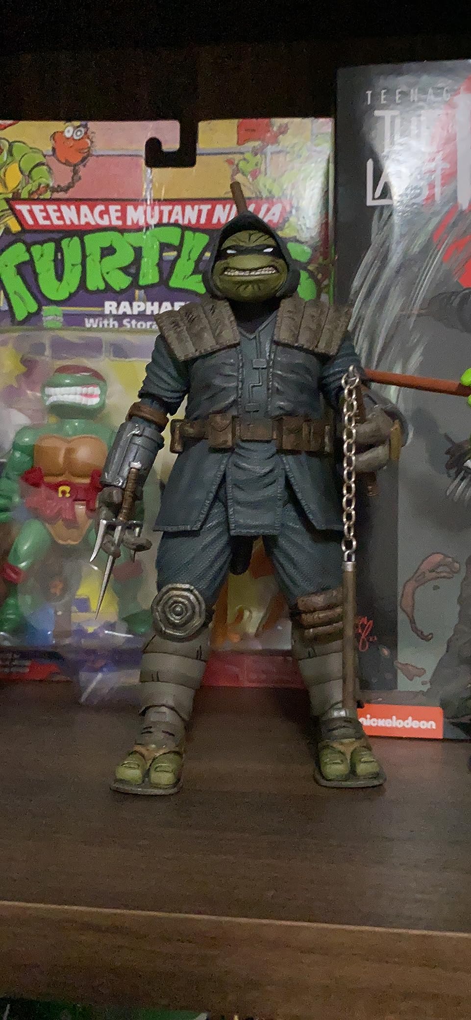 Teenage Mutant Ninja Turtles 7