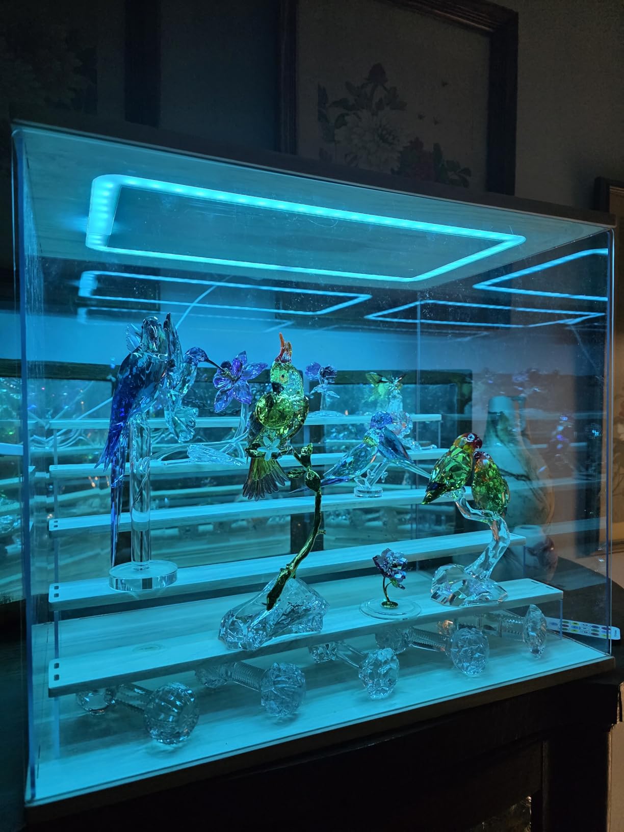 Clear Acrylic Display Case with Light, 5 Tier Display Box Stand Assembly Dustproof Protection Showcase for Collectibles Action Figures (12.6x12.2x11.8in; 32x31x30cm) customer photo 1