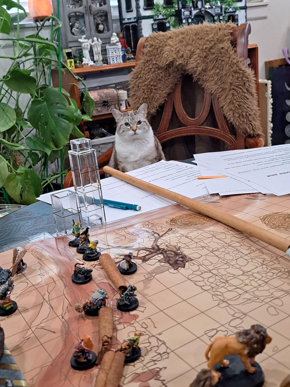 oTTRPGo 6 Pack DND Map 12 Terrain 24x36, 1 Inch Grids Dry Erase Battle Mats, Lay Flat Easier Clips, Double-Sided customer photo 2