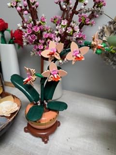 LEGO Botanicals Mini Orchid Building Set - Artificial, Fake Orchid for Home Decor, Adults Ages 18+ - Gift for Mothers Day - Indoor Plant Decorations for Table, Desk, Office - 10343 customer photo 2