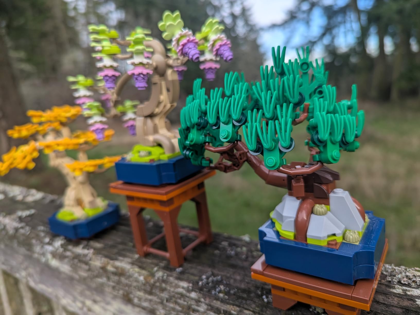 LEGO Botanicals Mini Bonsai Trees Building Set - Artificial Bonsai Tree Building Blocks for Adults, Ages 18+ - Gift for Birthdays for Him - DIY Home and Office Decor for Men and Women - 10373 customer photo 2
