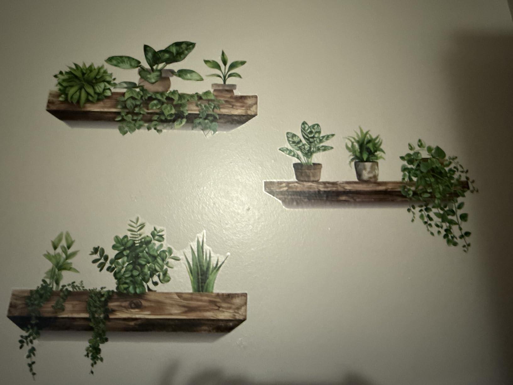 Green Plant Wall Decals 3D Bonsai Tropical Betterfly Wall Sticker Creative Vinyl Peel and Stick Removable Wall Art Decor for Living Room Bedroom Home Office (Green Plant 3) customer photo 2