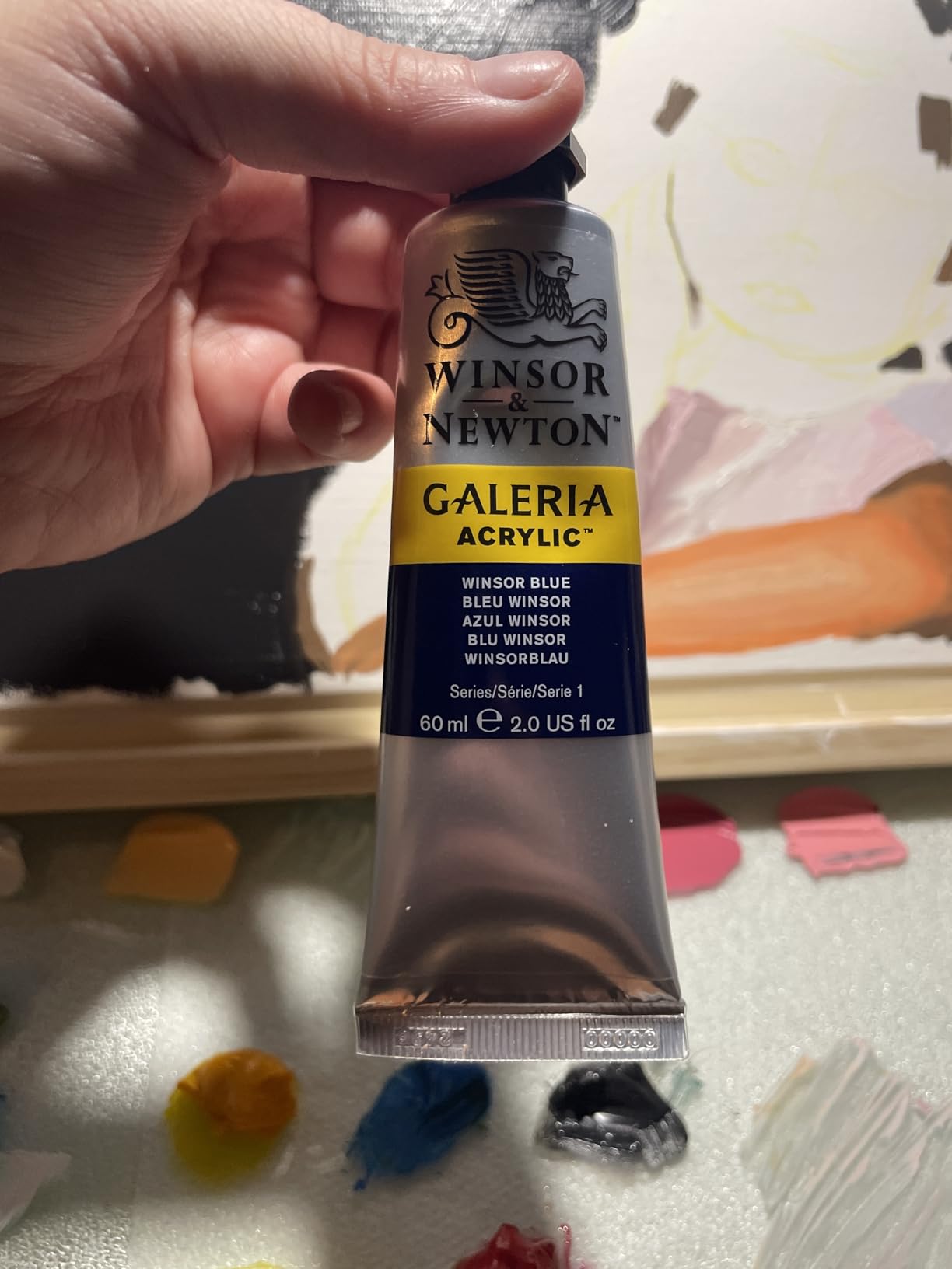 Winsor & Newton Galeria Acrylic Paint, 10 x 60ml (2 oz) Tube Paint Set customer photo 1