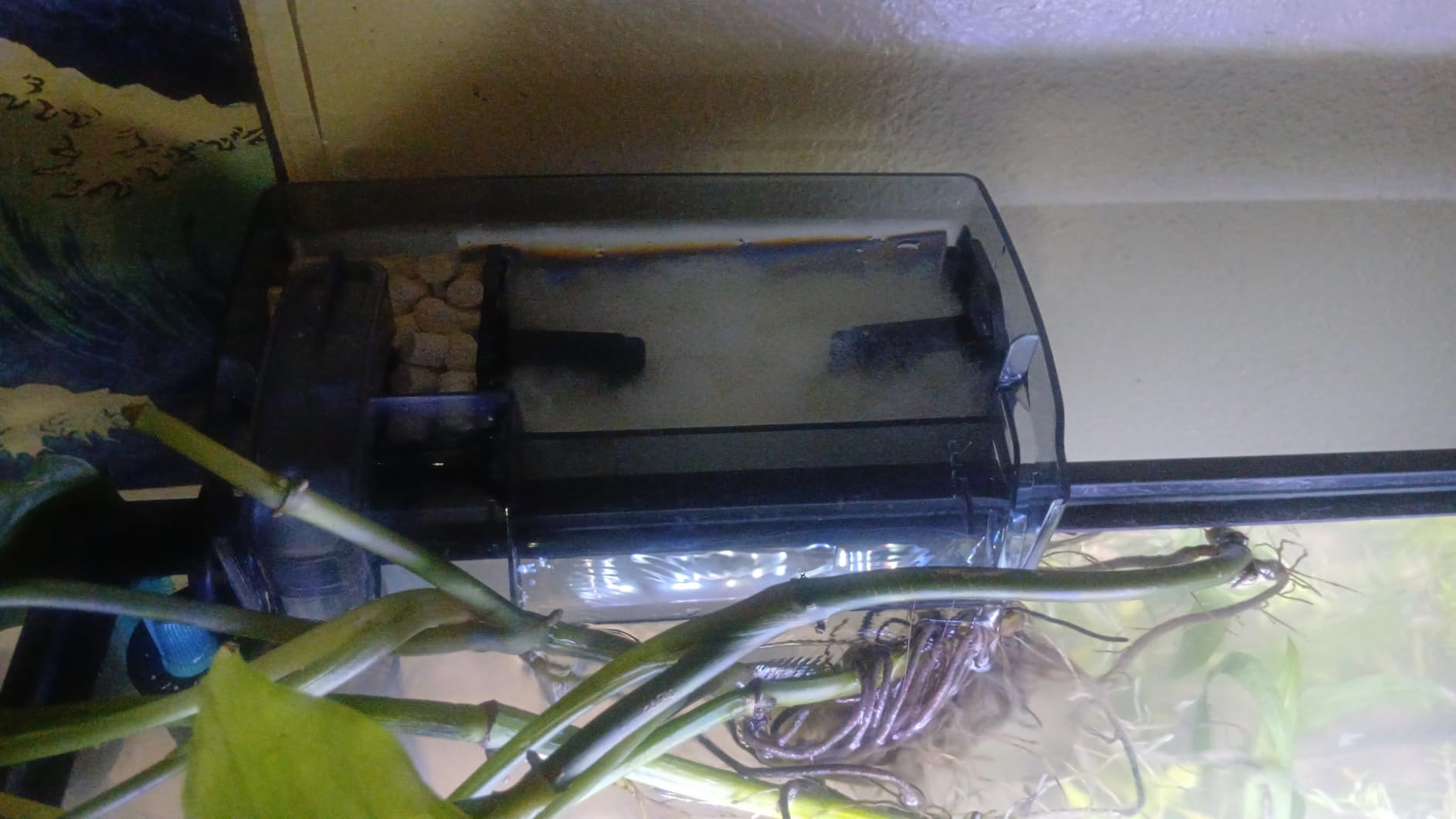 Fluval 50 Power Filter - Aquarium Filter for 20 to 50 Gallon Fish Tanks - Quiet Energy Efficient Pump - Mechanical, Chemical & Biological Filtration - Easy Install & Maintenance customer photo 2