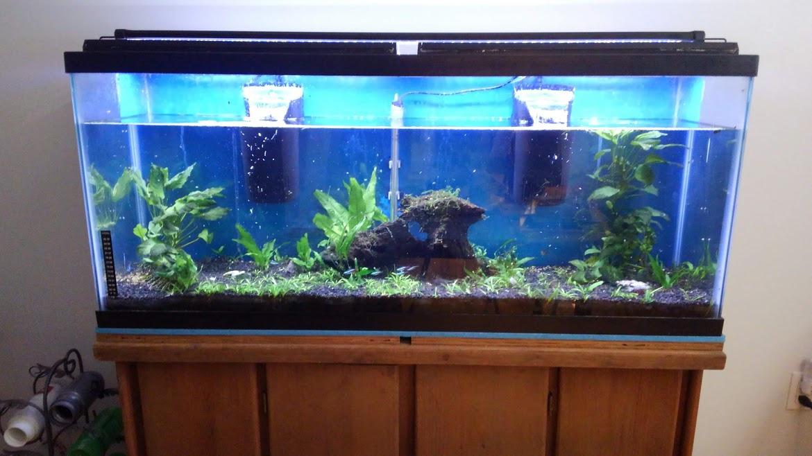 Tetra Whisper Internal Power Filter, Medium Bio-Bag Filter Cartridges, 3-Stage Filtration, 5-10 gal customer photo 2