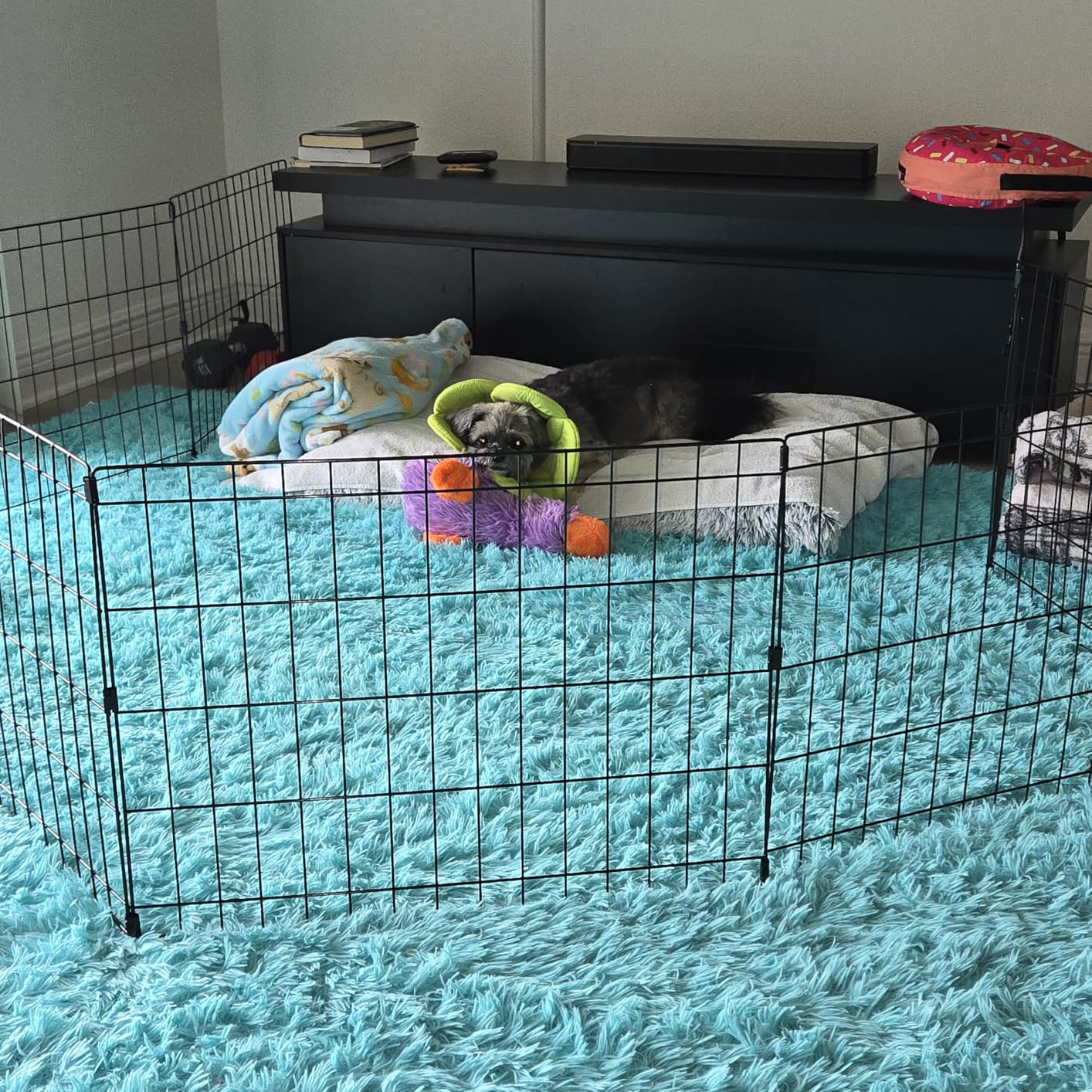 MidWest Homes for Pets Folding Metal Puppy / Dog Exercise Pen, Indoor/Outdoor Playpen with No Door, Provides 16 Sq Feet of Play Space, 30-Inches Tall, Black E-Coated customer photo 1
