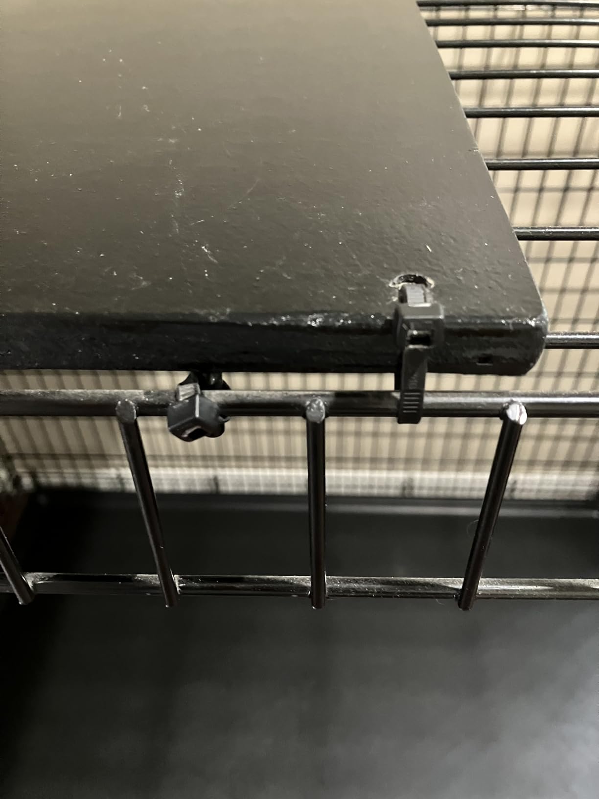 MidWest Homes for Pets 42-Inch iCrate for Large Breeds, 71-90 lbs, Single Door Folding Dog Crate with Divider Panel, Leak-Proof Tray & Secure Latch, Portable, Durable & Easy to Assemble customer photo 2