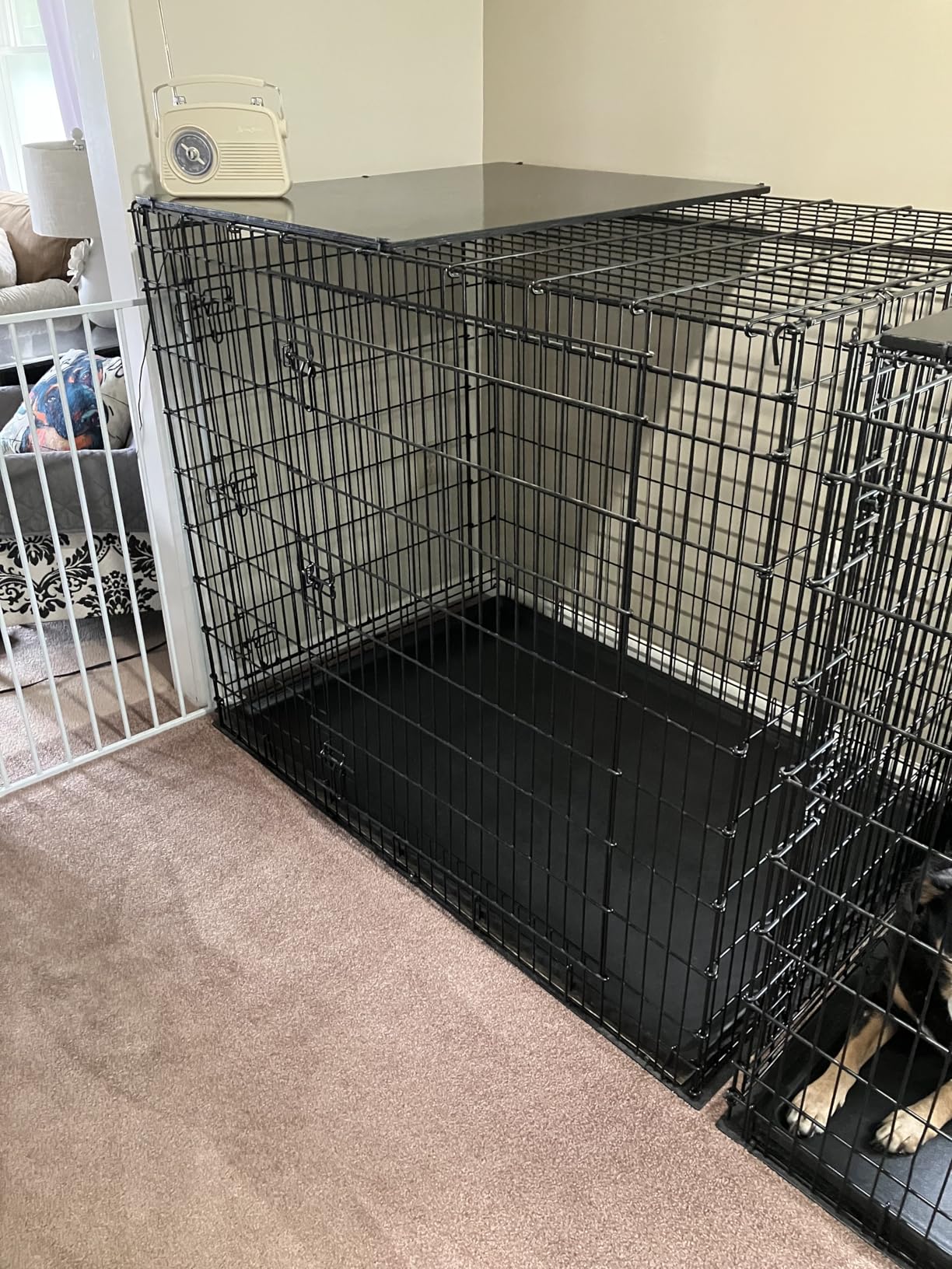 MidWest Homes for Pets 36-Inch iCrate for Medium-Large Breeds, Single Door Folding Dog Crate with Divider Panel, Leak-Proof Tray & Secure Latches, Portable, Durable & Easy to Assemble customer photo 1
