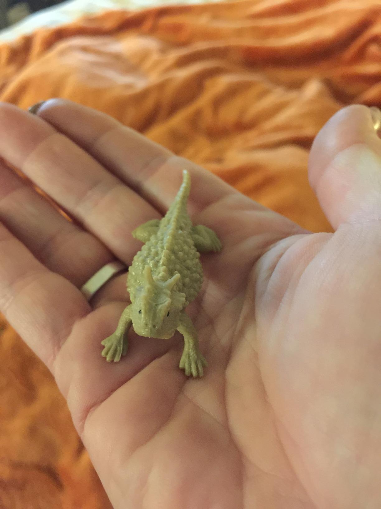 Safari Ltd. Desert TOOB - Figurines of Horned Lizard, Cactus, Road Runner, Scorpion, Rattlesnake, Coyote, Bobcat, Armadillo, Mountain Lion - Educational Toy Figures For Boys, Girls & Kids Ages 3+ customer photo 2