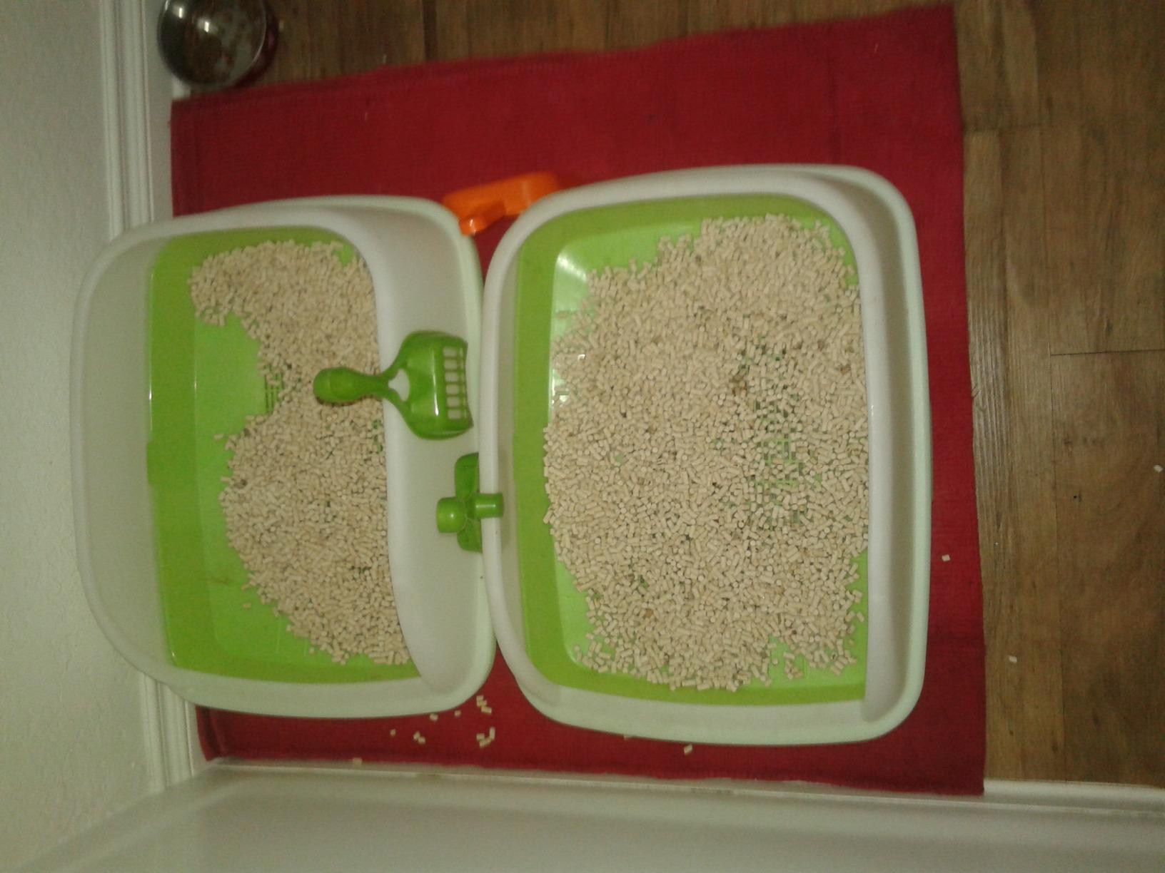 Purina Tidy Cats Litter Box System, BREEZE System Starter Kit Litter Box, Litter Pellets & Pads customer photo 1