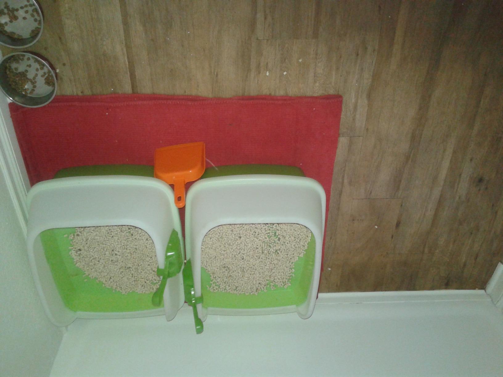Purina Tidy Cats Litter Box System, BREEZE System Starter Kit Litter Box, Litter Pellets & Pads customer photo 2