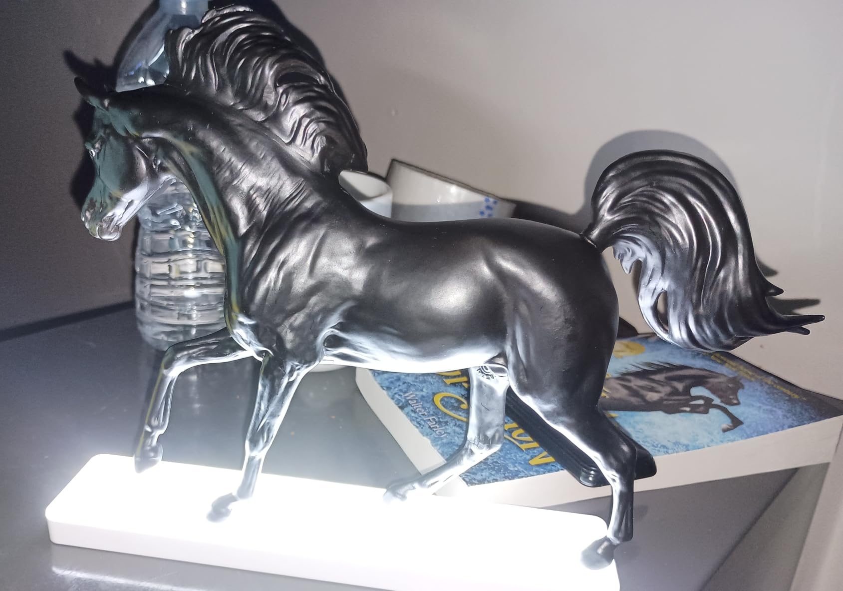 Classics Wild Blue: Book and Horse Toy Set (1:12 Scale) customer photo 2