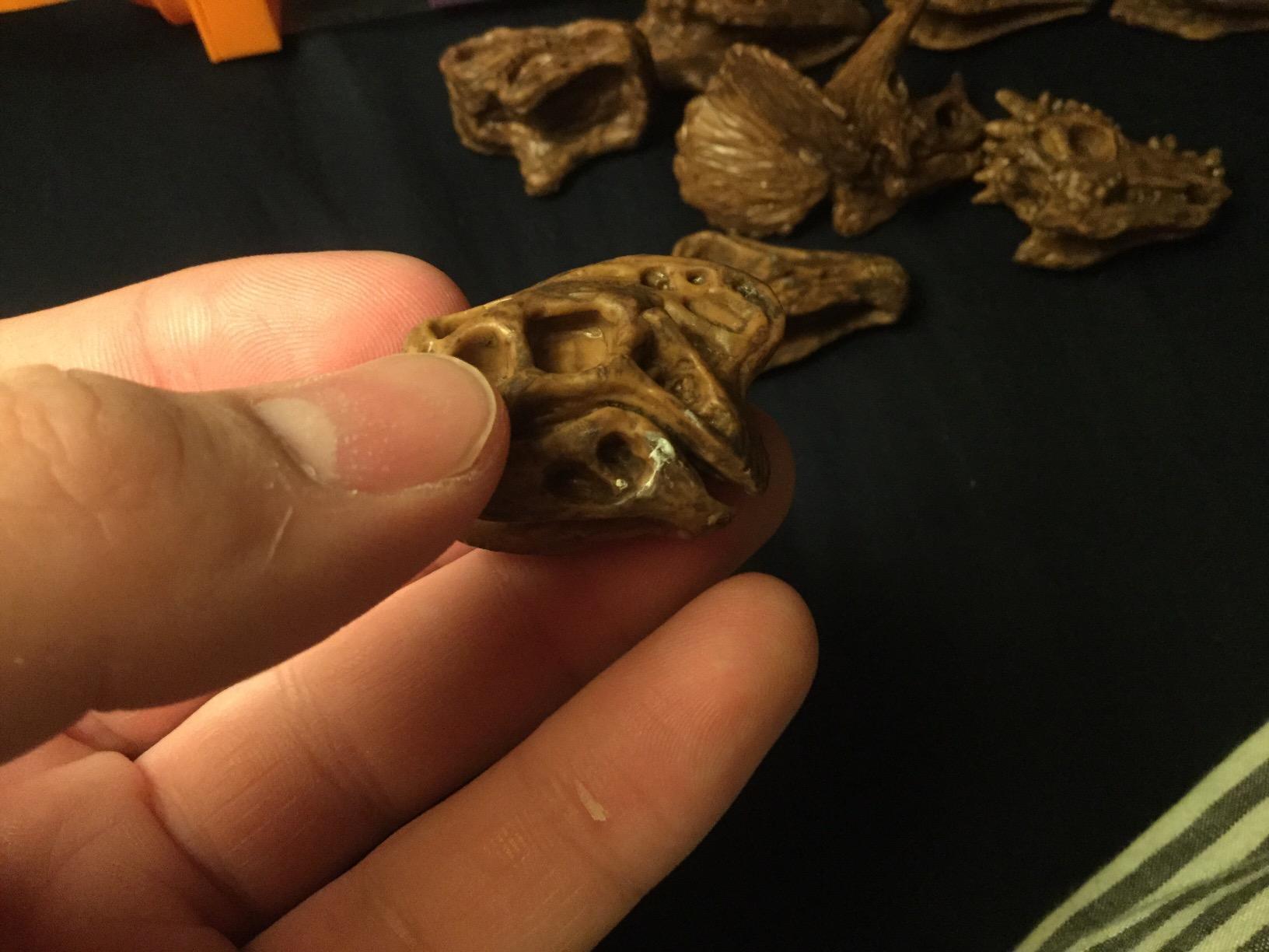 Safari Ltd Dinosaur Skulls TOOB - 11 Mini Figurines Including Velociraptor, Brachiosaurus, Oviraptor, Triceratops, Tyrannosaurus Rex and More - Educational Toy Figures for Boys, Girls & Kids Ages 3+ customer photo 2