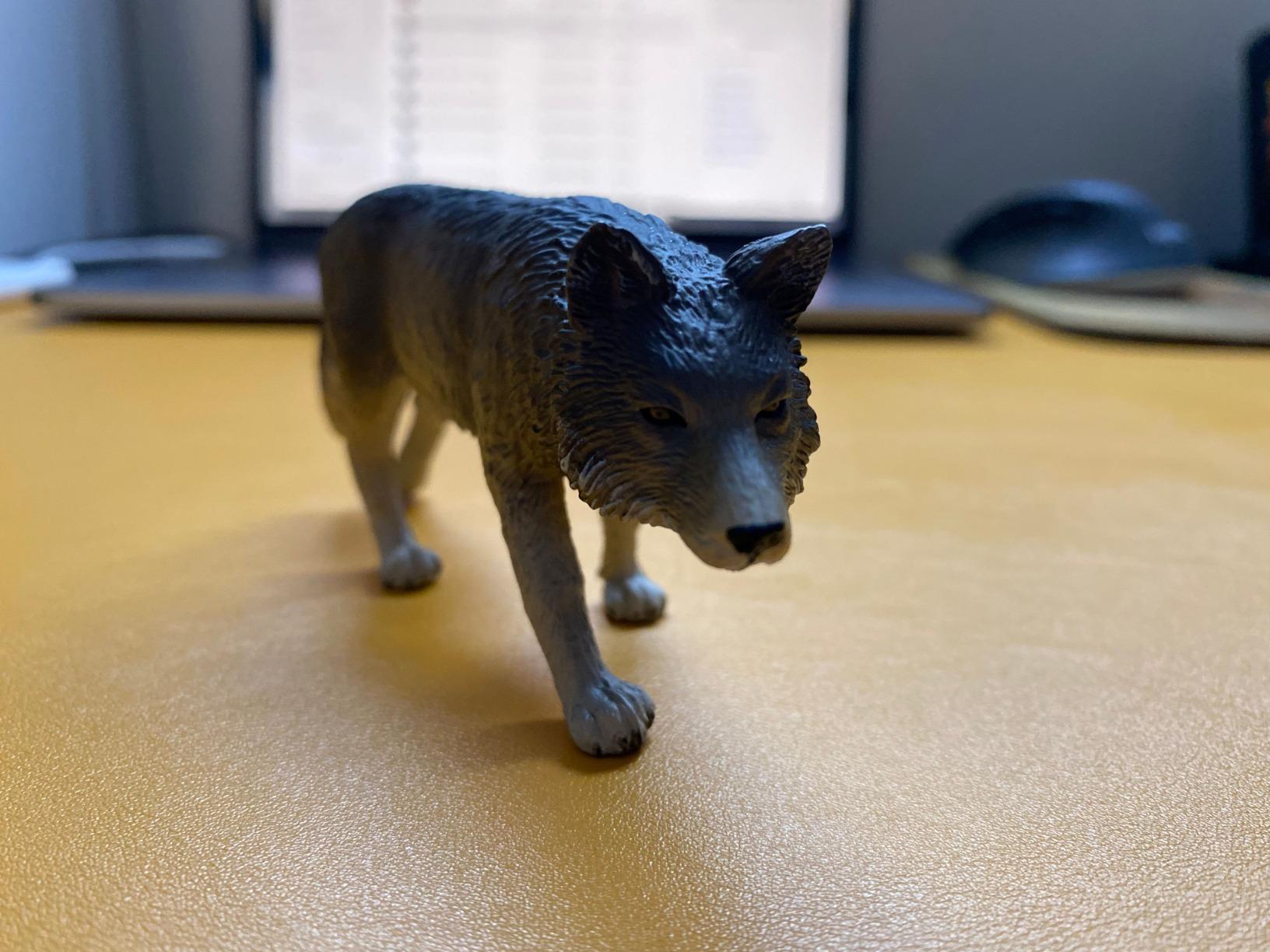 MOJO - Timber Wolf Walking | Hand-Painted Toy Figure | North American Woodland Collection | True to Life & Highly Detailed | Designed in UK customer photo 1