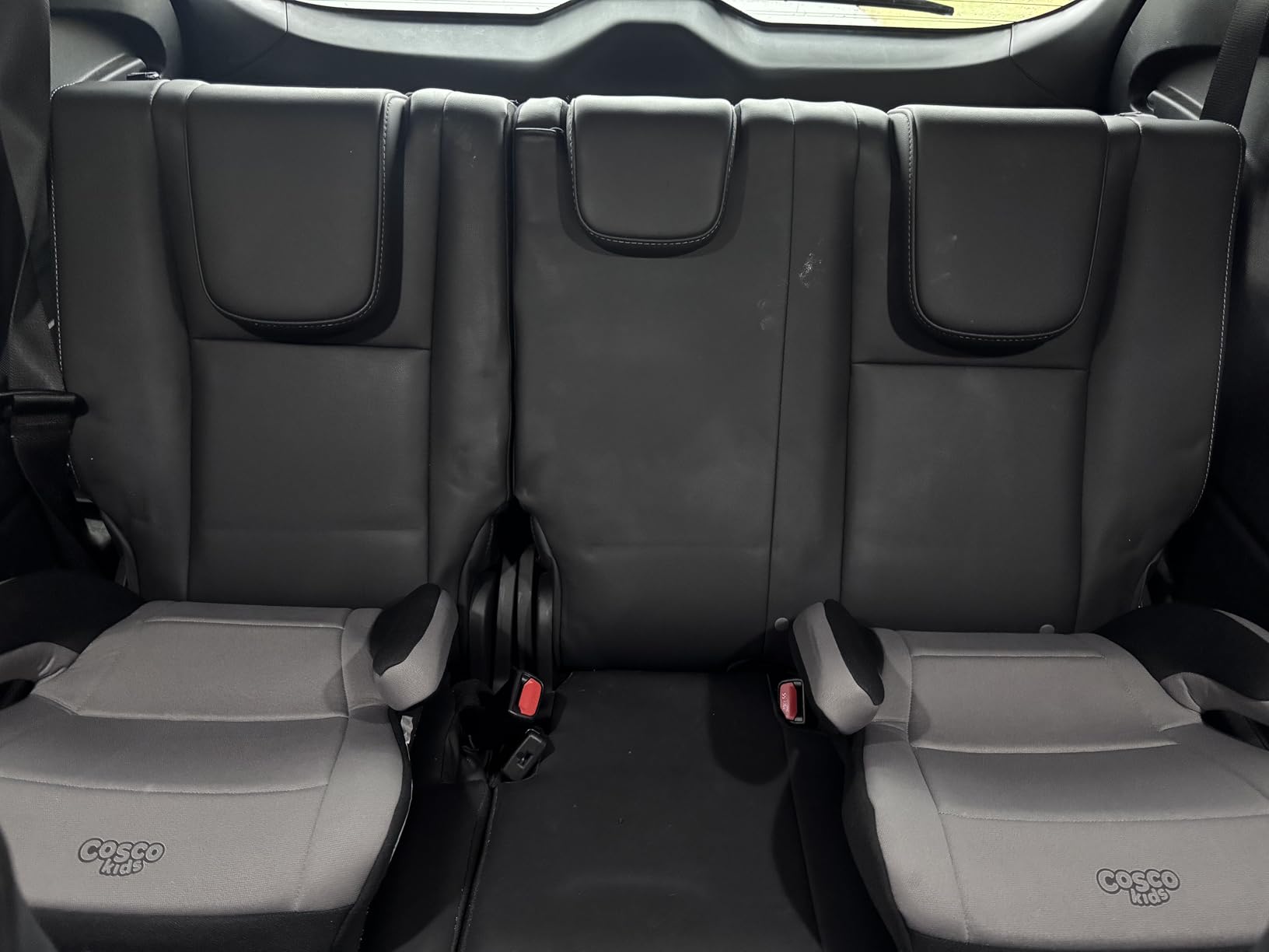 Cosco Topside Backless Booster Car Seat, Lightweight Booster Seats for Cars 40-100 lbs, Leo customer photo 1