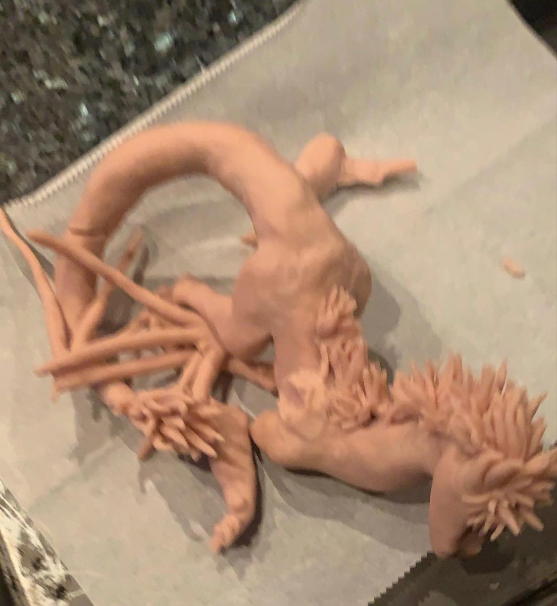 Super SCULPEY 1LB ONE Pound customer photo 2
