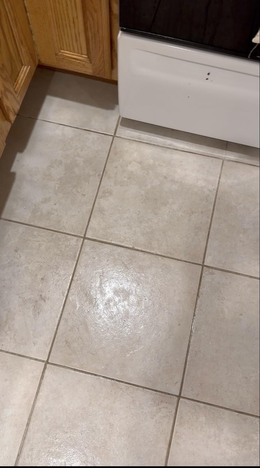 BISSELL Steam Mop PowerFresh Floor Steam Cleaner for Hard Wood and Tile with Natural Sanitization, 1940A customer photo 2