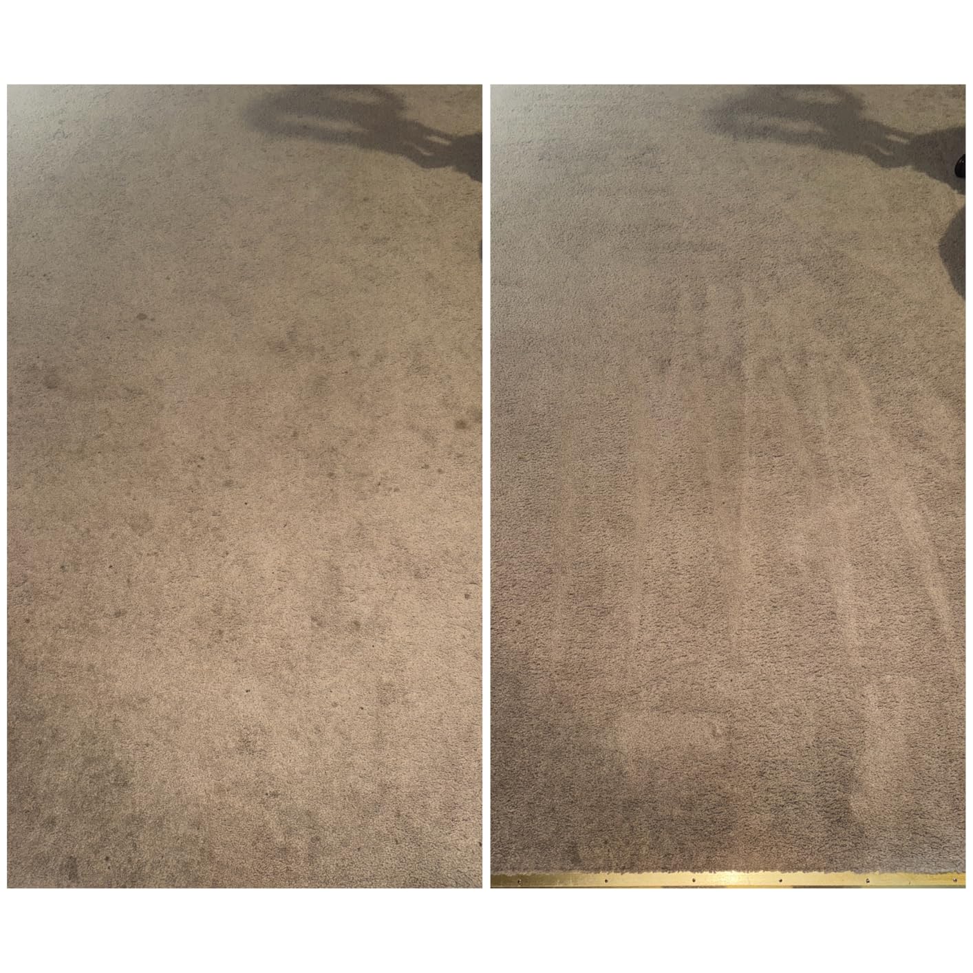 Hoover PowerScrub Deluxe Carpet Cleaner Machine, Deep Cleaning Carpet Shampooer Machine, SpinScrub Brushes, HeatForce Drying, Pet & Upholstery Tools, Pair with Hoover Carpet Cleaner Solution customer photo 1