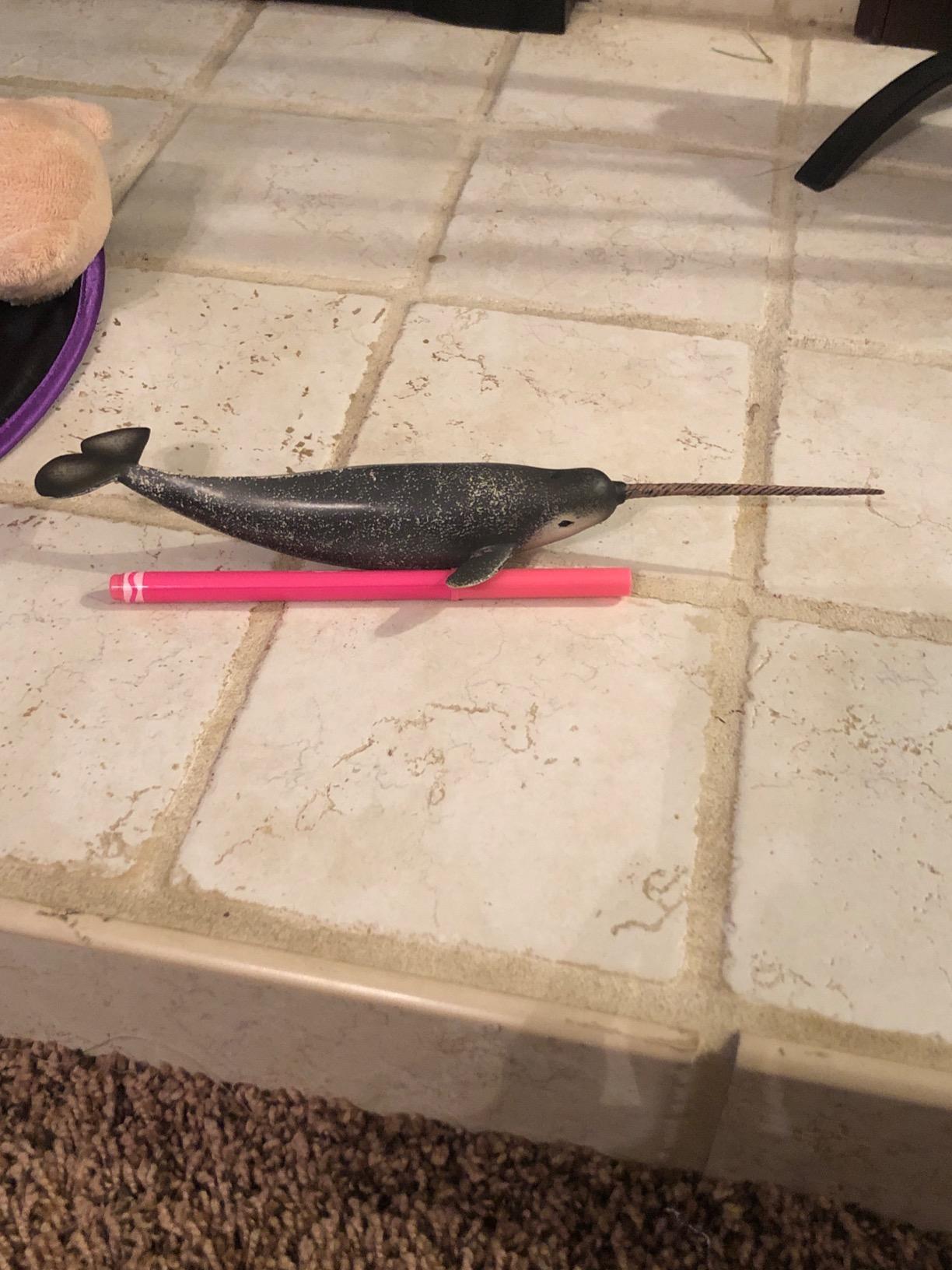 CollectA Sea Life Narwhal Toy Figure - Authentic Hand Painted Model customer photo 1