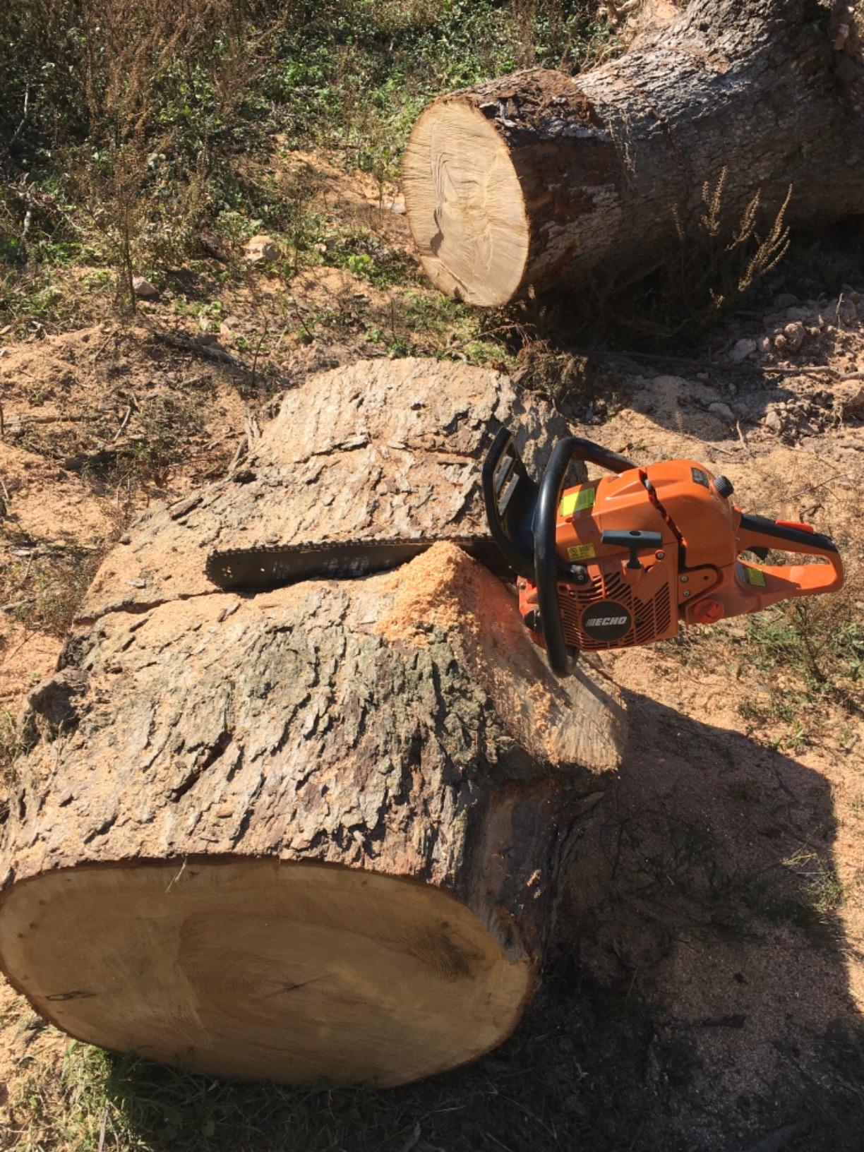 ECHO CS-590-20AP Chain Saw, Gas, 20 in. Bar, 59.8cc customer photo 2