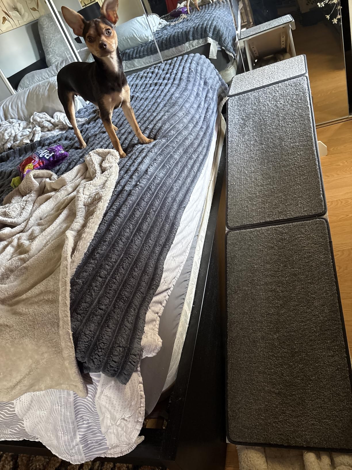 PetSafe CozyUp Wooden Bed Ramp for Cats & Dogs, Furniture-Grade with High-Traction Carpet Surface, Cherry customer photo 1