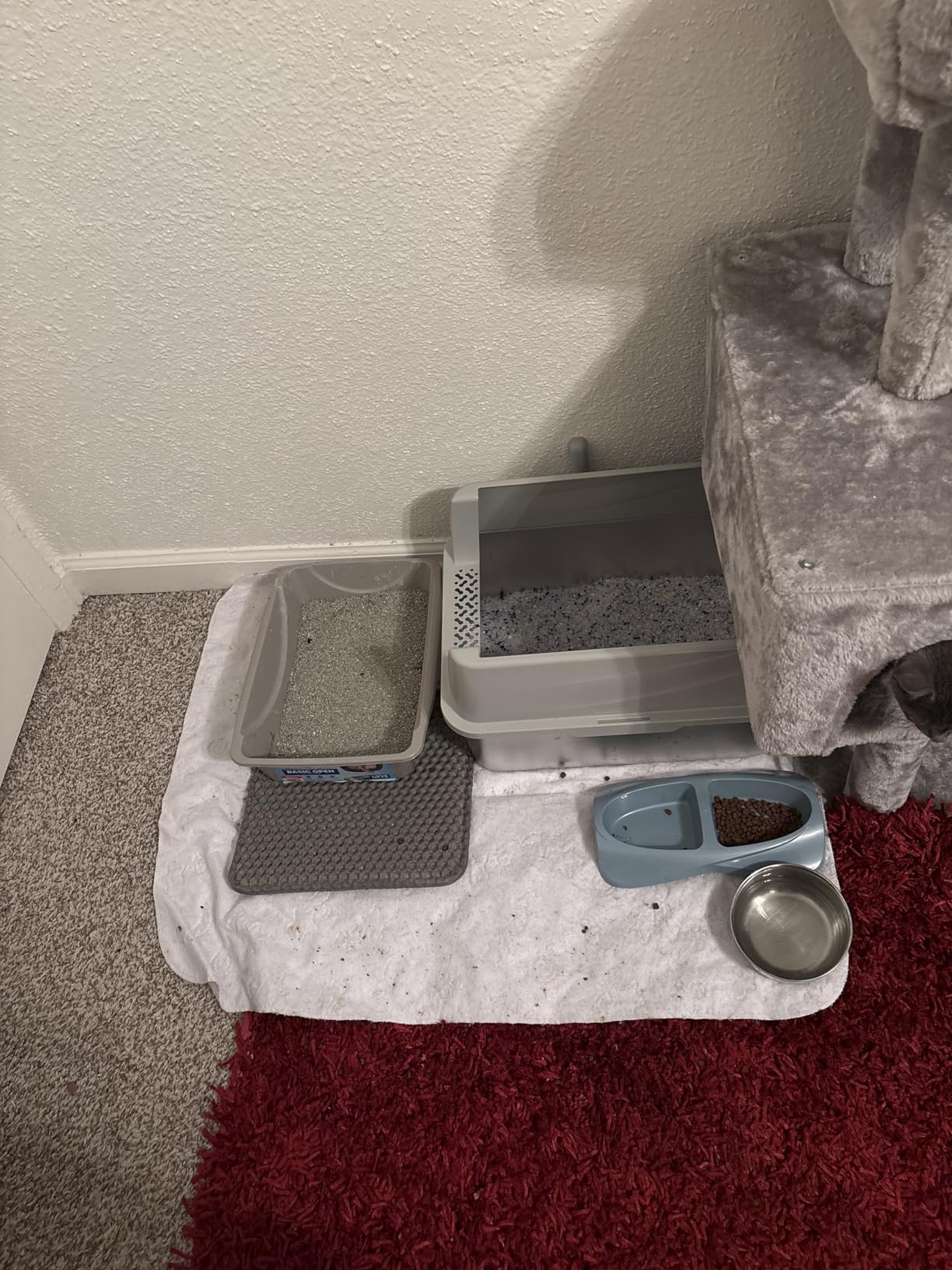 Petmate Basic Open Cat Litter Pan, Multidirectional Easy to Clean Plastic Litter Box, Gray, Made in USA, 14