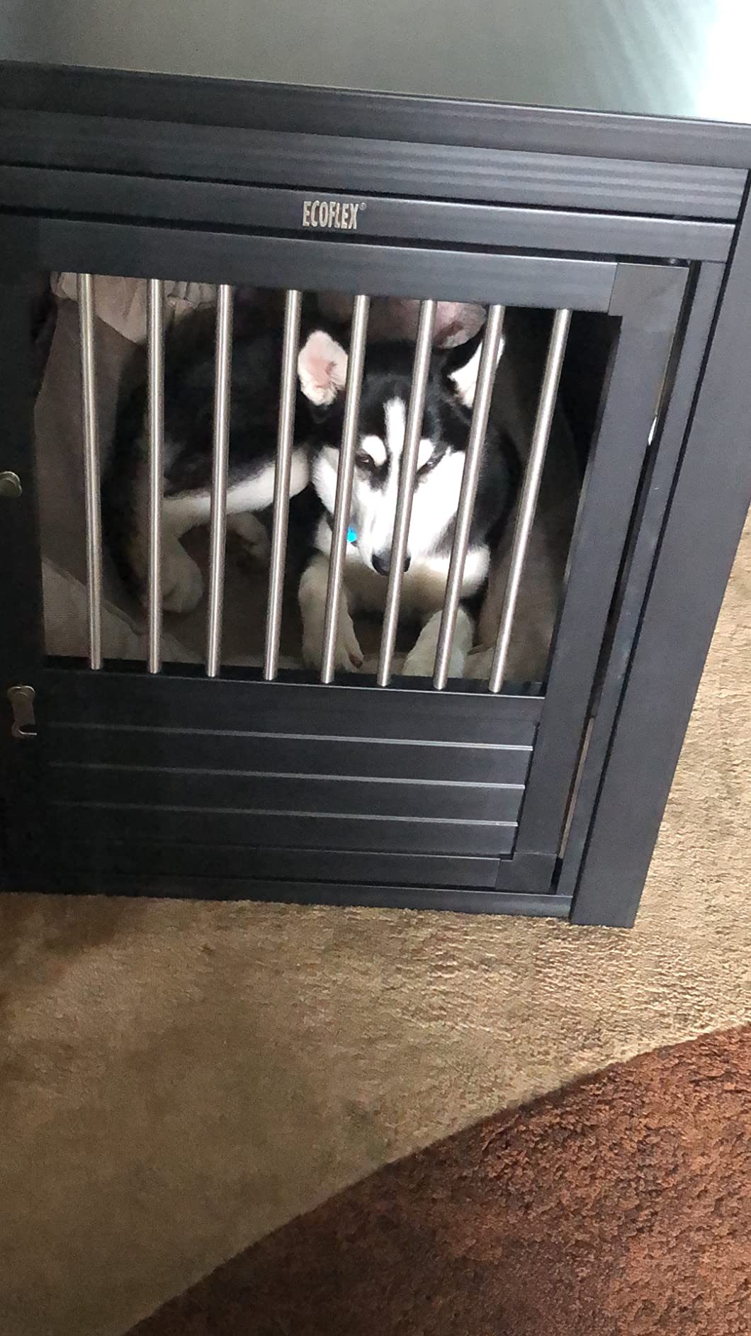 New Age Pet ECOFLEX InnPlace Dog Crate & End Table, Furniture-Style Indoor Kennel for Crate-Trained Dogs, Stainless Steel Spindles, 10-Year Warranty customer photo 1