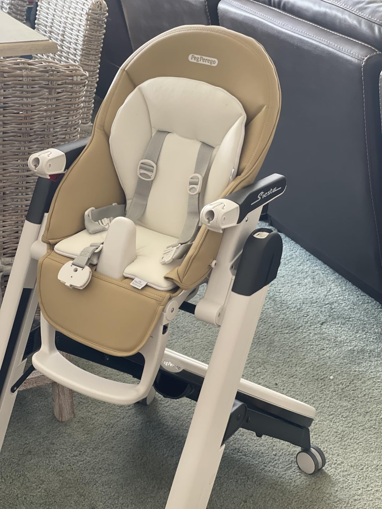 PEG Perego Siesta, Grow With Baby Folding High Chair & Recliner, Ice (Grey) - Height Adjustable, Quick Clean & Easy Push Wheels, Made in Italy customer photo 2