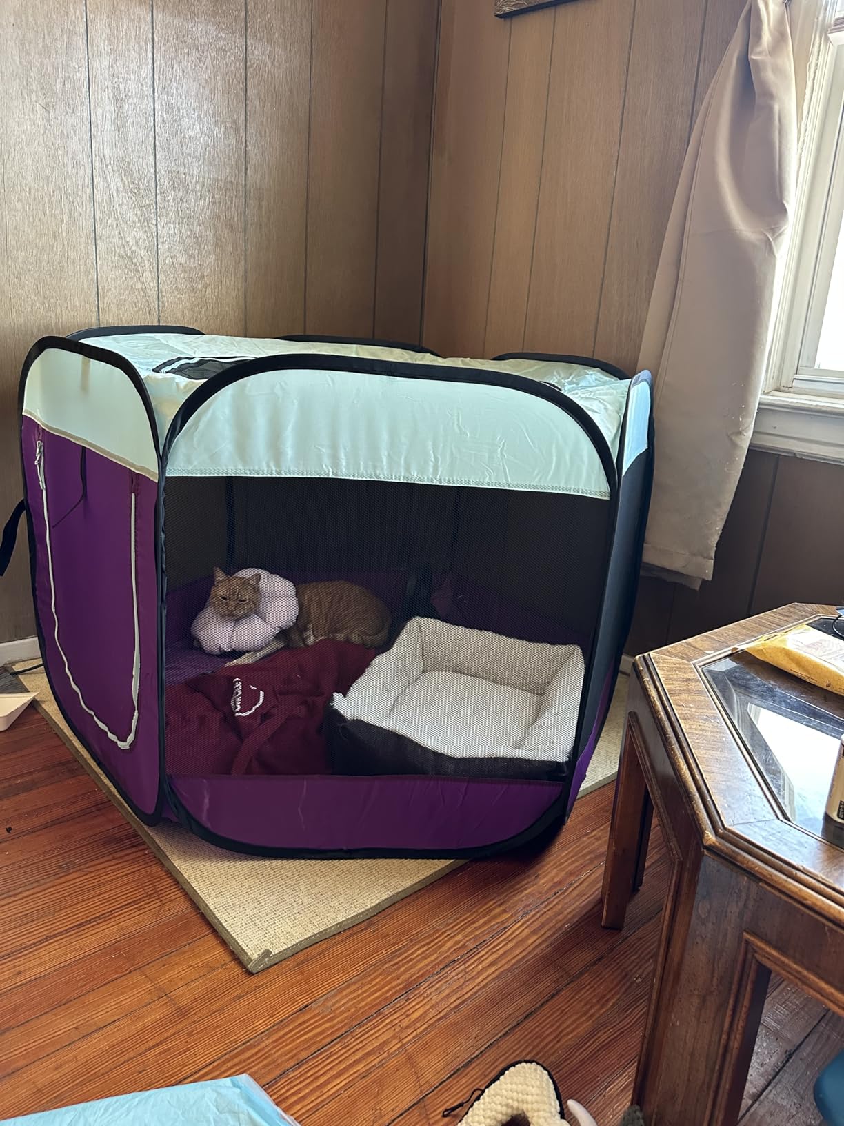 FurHaven Soft-Sided Dog & Cat Playpen, Portable Foldable Indoor & Outdoor Pet Playpen with Mesh Windows & Zippered Door, Gray, Extra Large customer photo 1