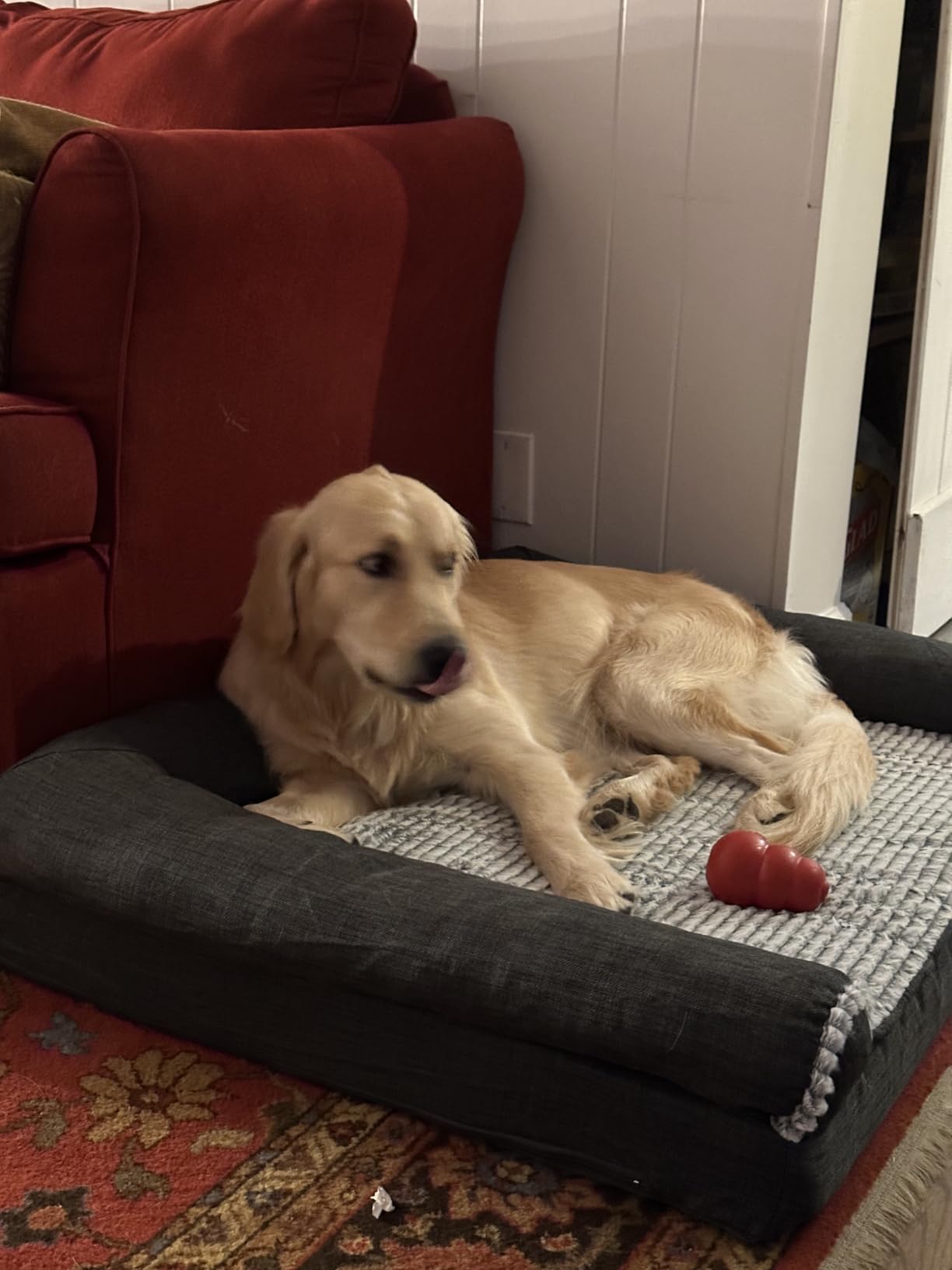 FurHaven Orthopedic Dog Bed for Large/Medium Dogs with Removable Bolsters & Washable Cover, For Dogs Up to 55 lbs - Plush & Suede Sofa, Gray, Large customer photo 1