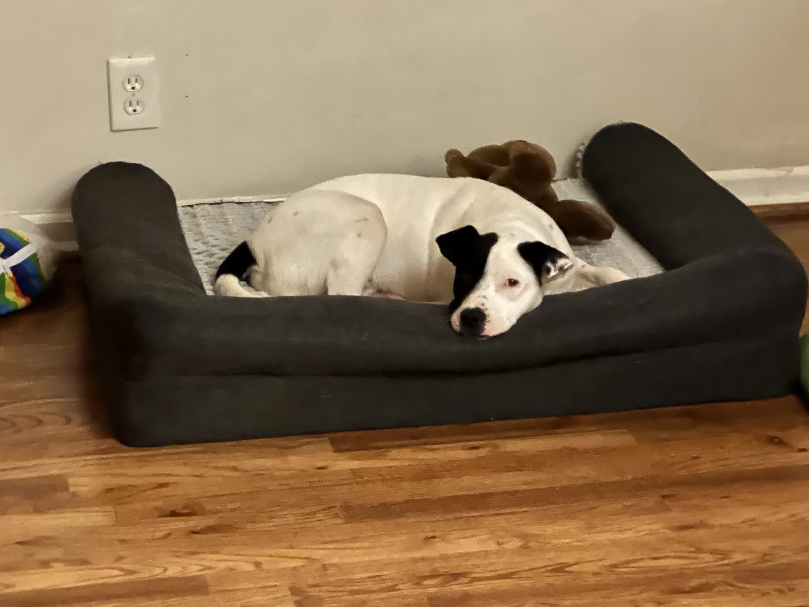 FurHaven Orthopedic Dog Bed for Large/Medium Dogs with Removable Bolsters & Washable Cover, For Dogs Up to 55 lbs - Plush & Suede Sofa, Gray, Large customer photo 2