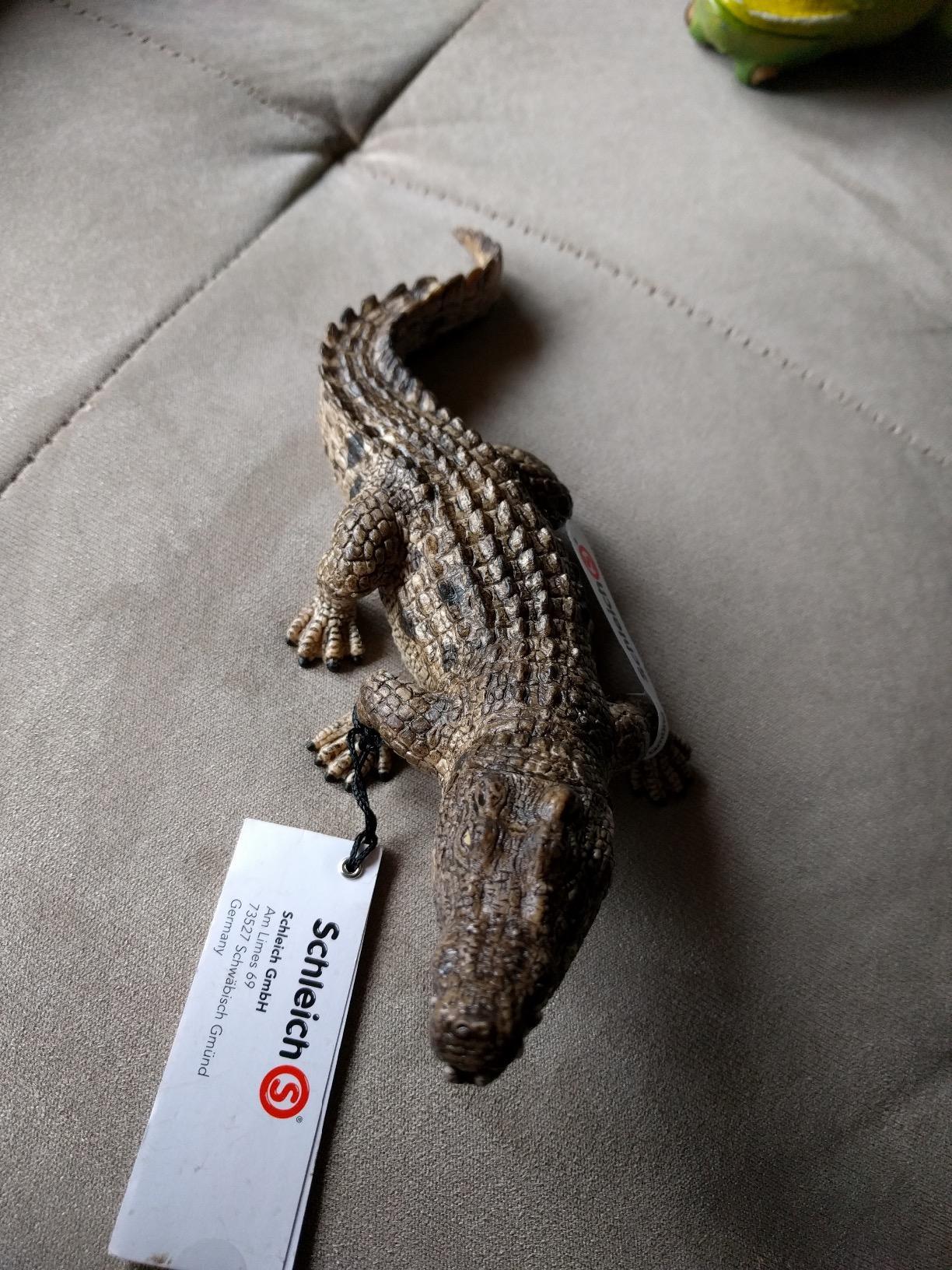 Schleich Wild Life, Realistic Wild Animal Toy for Boys and Girls, Crocodile Toy Figurine with Movable Jaw customer photo 1