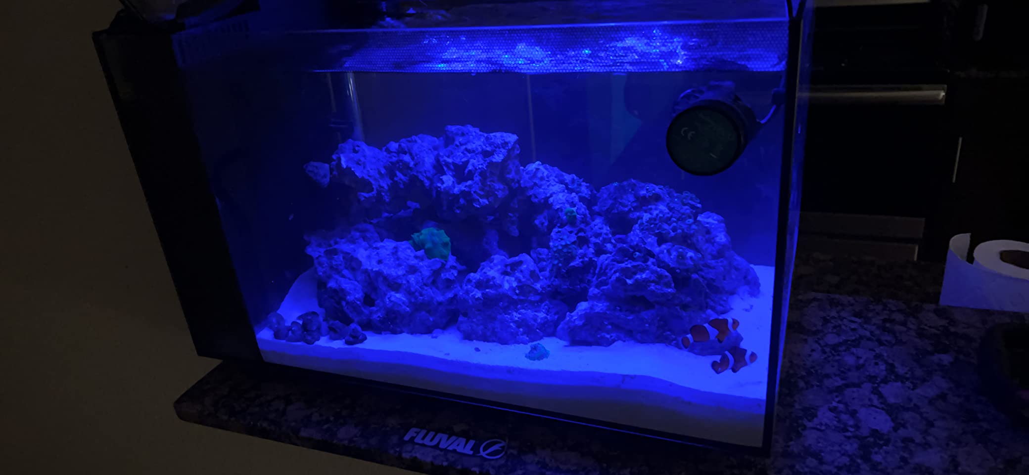 Fluval Evo XII Saltwater Aquarium Kit, 13.5 Gallon, Saltwater Fish Tank with Reef-Capable LED, Efficient 3-Stage Filtration customer photo 1