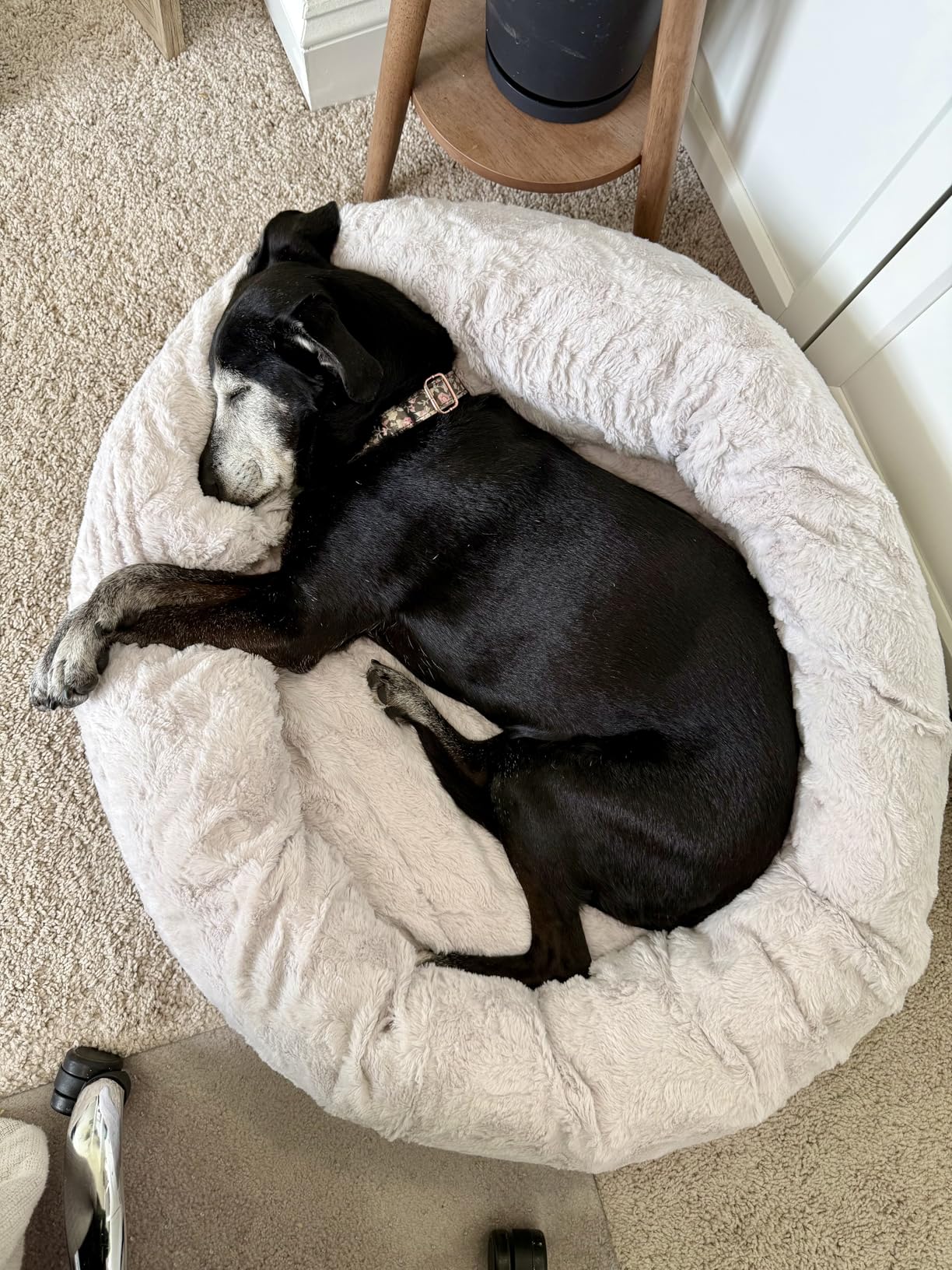 Best Friends by Sheri The Original Calming Donut Dog Bed for Small Dogs up to 25 lbs, Shag Faux Fur, Taupe, 23