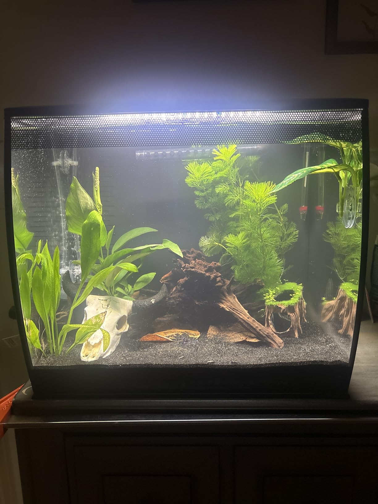Fluval Flex Freshwater Aquarium Kit - Black - 15 Gallon customer photo 1