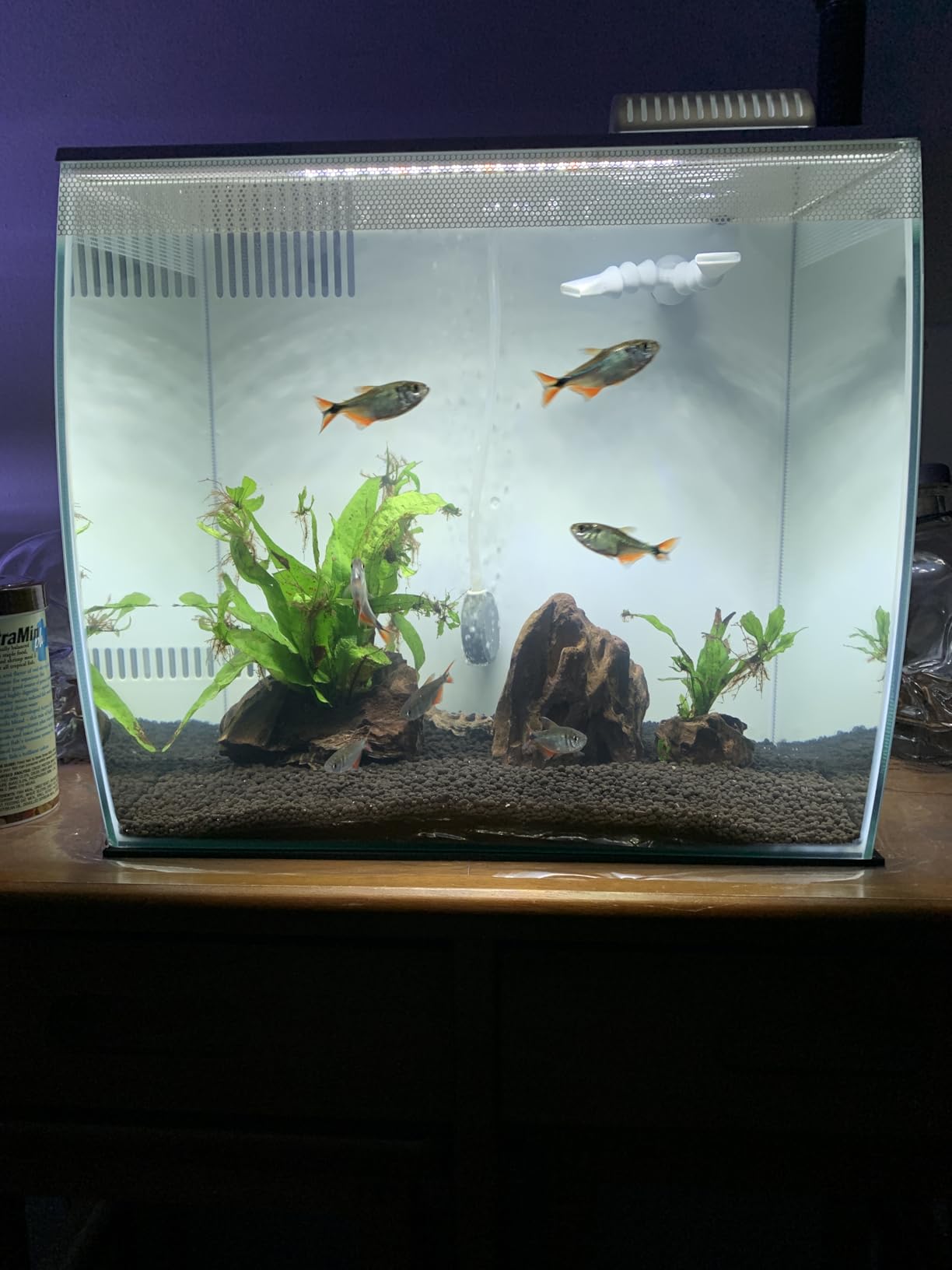 Fluval Flex Freshwater Aquarium Kit - Black - 15 Gallon customer photo 2