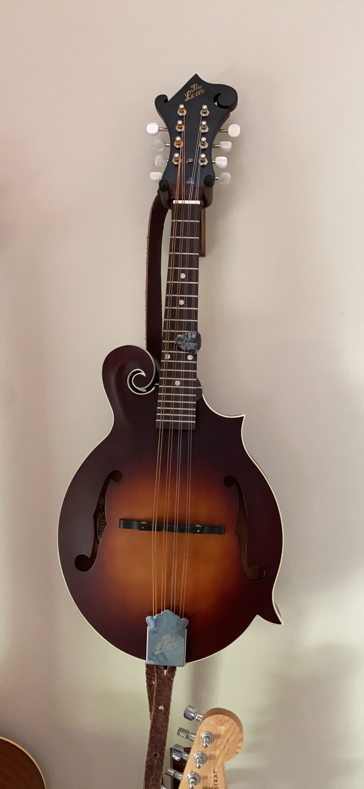 The Loar LM-310F-BRB Honey Creek F-Style Mandolin customer photo 2