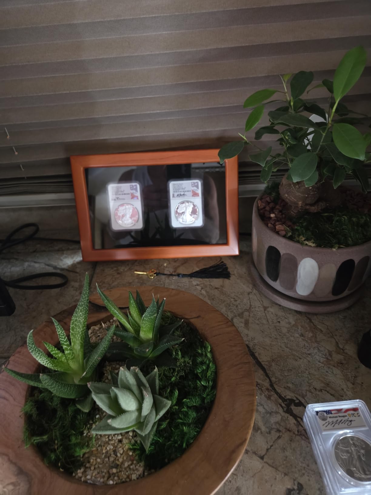 Three Certified / Slab Coin Glass Top Box customer photo 1