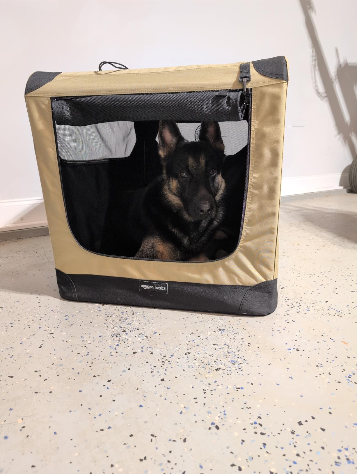 Amazon Basics Portable Folding Soft Dog Crate for Cat, Dog, Rabbit, Double Door with Mesh Ventilation, Collapsible, Easy to Set Up, Large 36