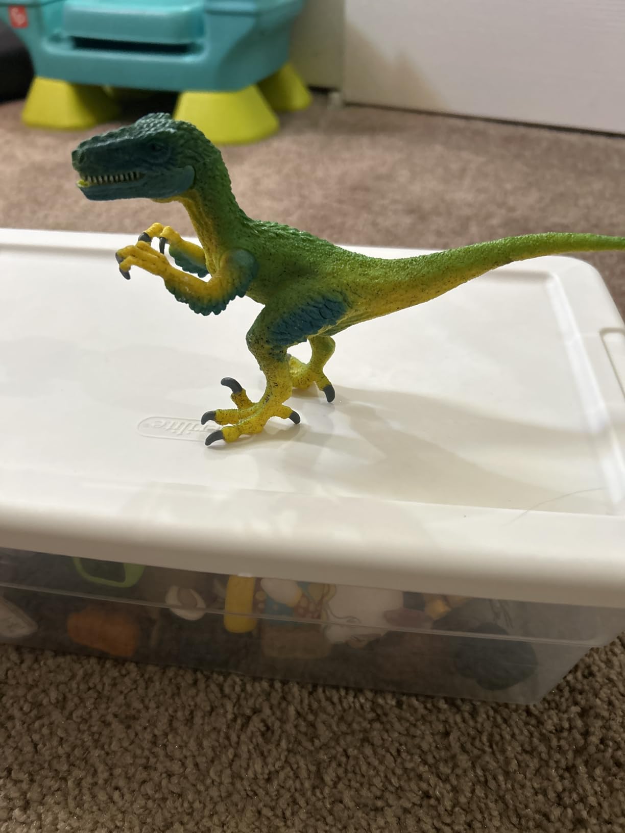 Schleich Dinosaurs - Velociraptor Figurine with Movable Jaw and Arms - Realistic Raptor Dino Toy with Feathered Body and Claws - Durable Dinosaur Action Figure for Imaginative Play - Kids 4+ | 14585 customer photo 2