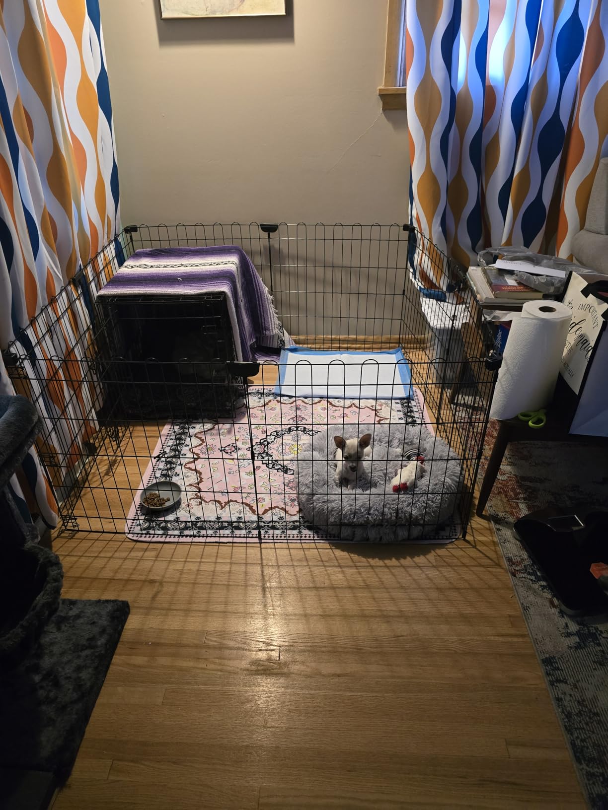 Amazon Basics Portable Foldable Octagonal Metal Exercise Dog Playpen, Indoor/Outdoor Pet Fence with Single Door, 8 Panels, Small, 30 Inches, Black customer photo 2