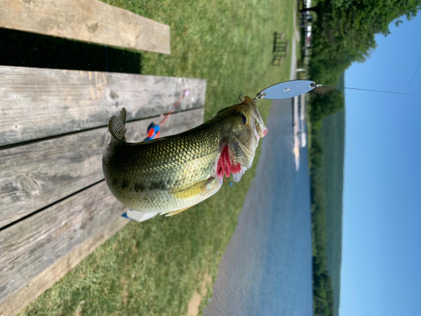 Shakespeare Alpha Medium 6' Low Profile Fishing Rod and Bait Cast Reel Combo customer photo 1