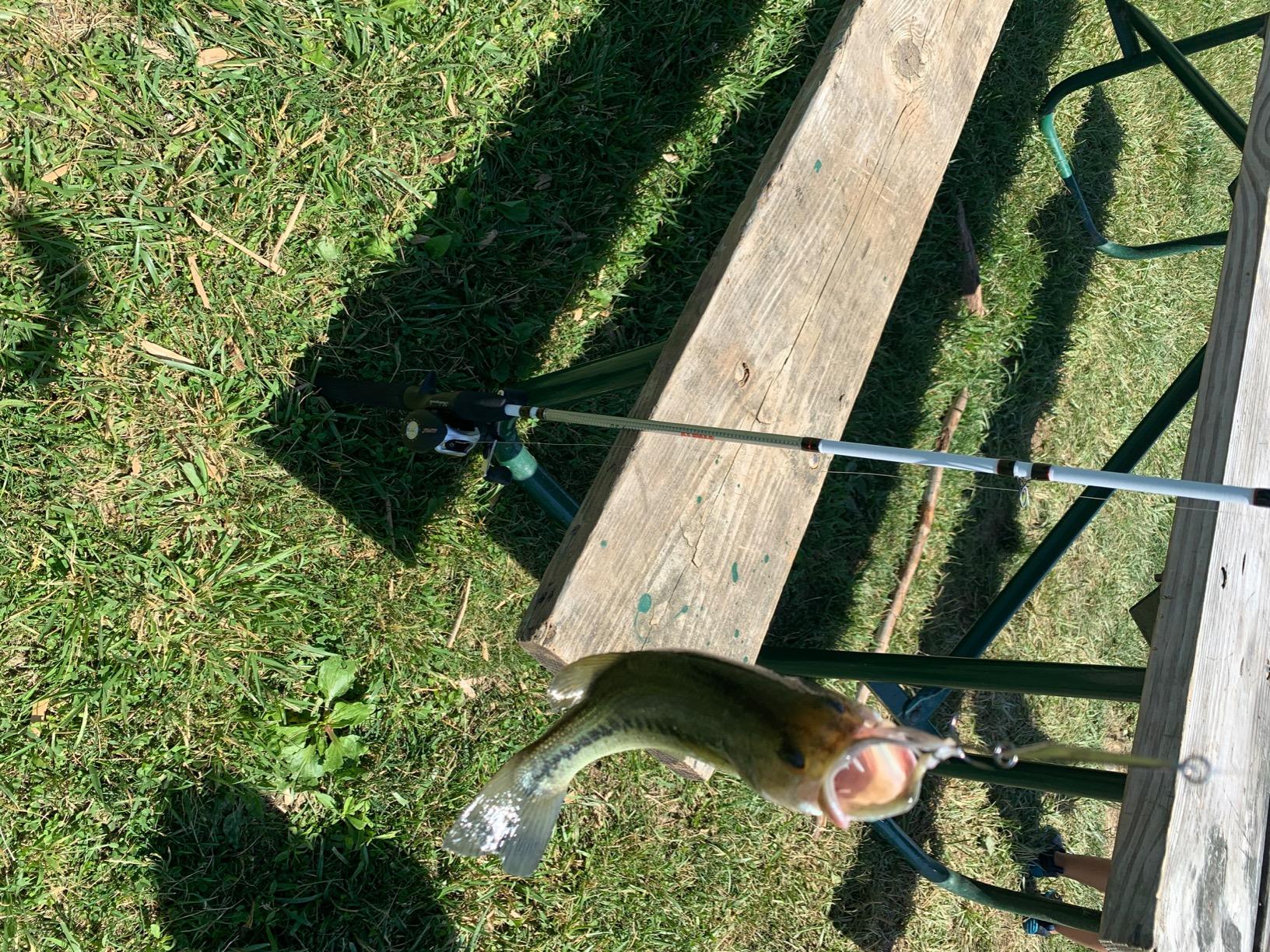Shakespeare Alpha Medium 6' Low Profile Fishing Rod and Bait Cast Reel Combo customer photo 2
