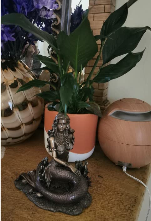 Resin Statues Enchanted Song Bronze Finish Mermaid Sitting On Ocean Floor Statue 5.5 X 5.75 X 4 Inches Bronze customer photo 1