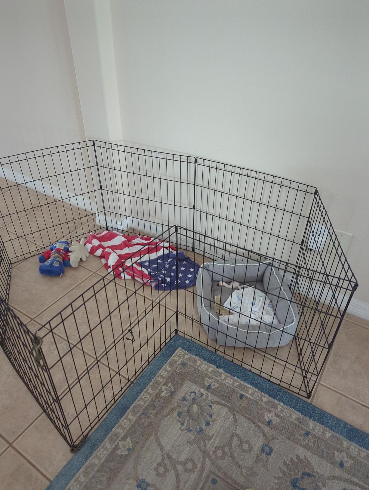 New World by MidWest Homes for Pets 24-Inch Exercise Pen, for Indoor and Outdoor use, 16 Sq Feet of Play, Folding Dog Pen, No Door Design for Maximum Security, Easy to Set Up, Foldable Pet Playpen customer photo 1